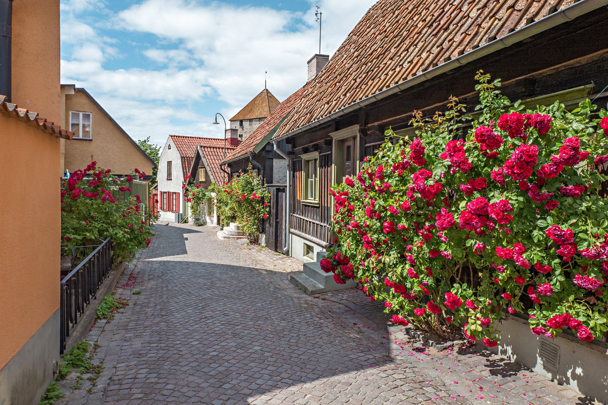 61985707 - medieval alley in the historic hanse town visby on swedish baltic sea island gotland.