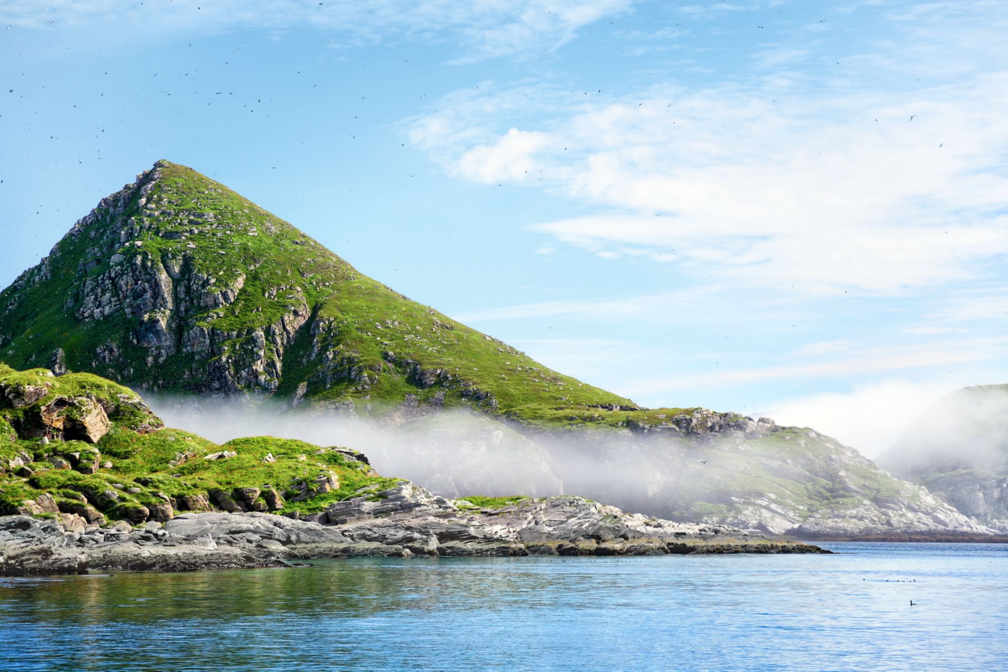 Lot of birds on a sky of Gjesværstappan islands, Norway