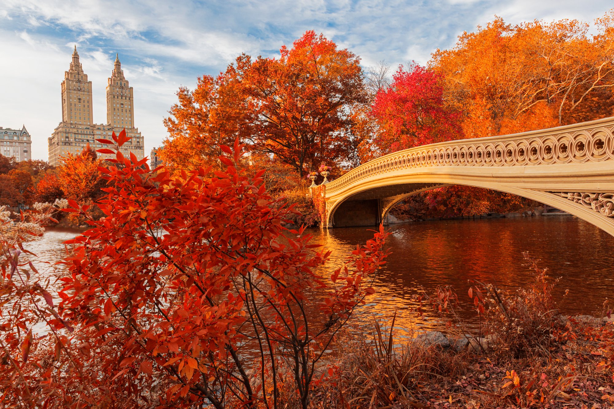 Bow Bridge in Central Park at New York City during autumn
