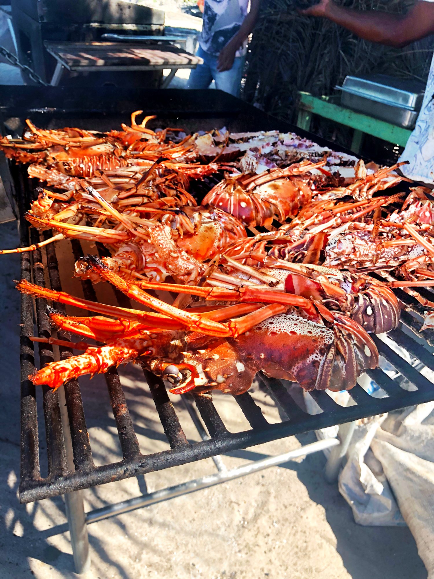 Frische Langusten werden auf einem Grill im Freien zubereitet.