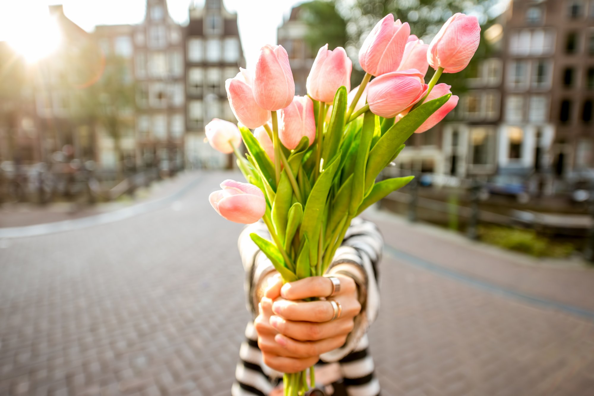 Woman giving a beautiful bouquet of pink tulips standing outdoors in Amsterdam city