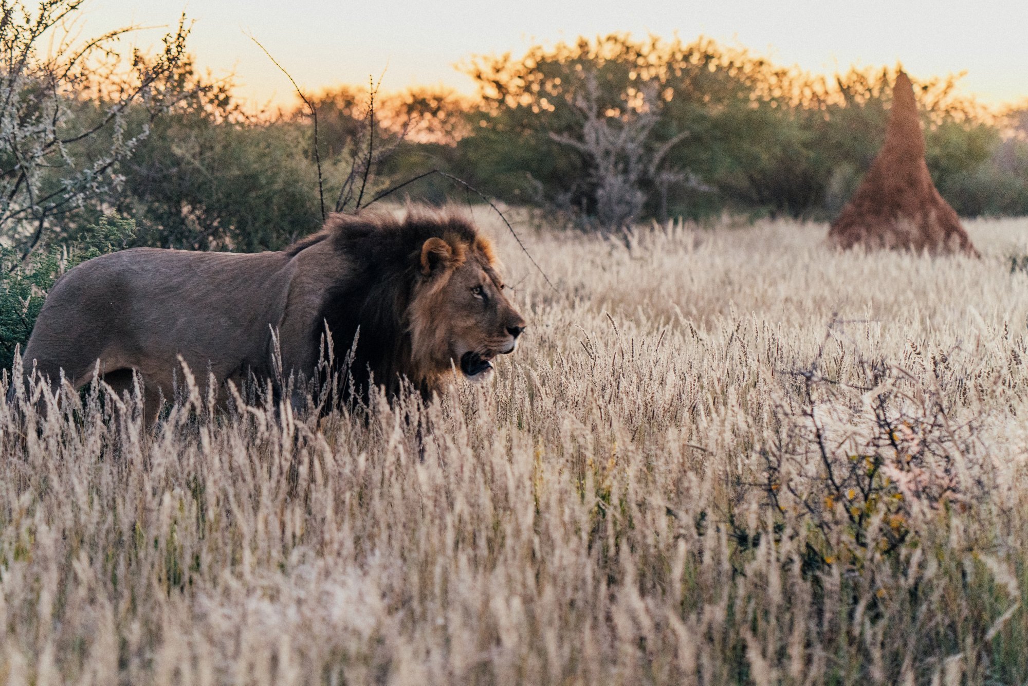 Geheimtipp Kreuzfahrt nach Namibia