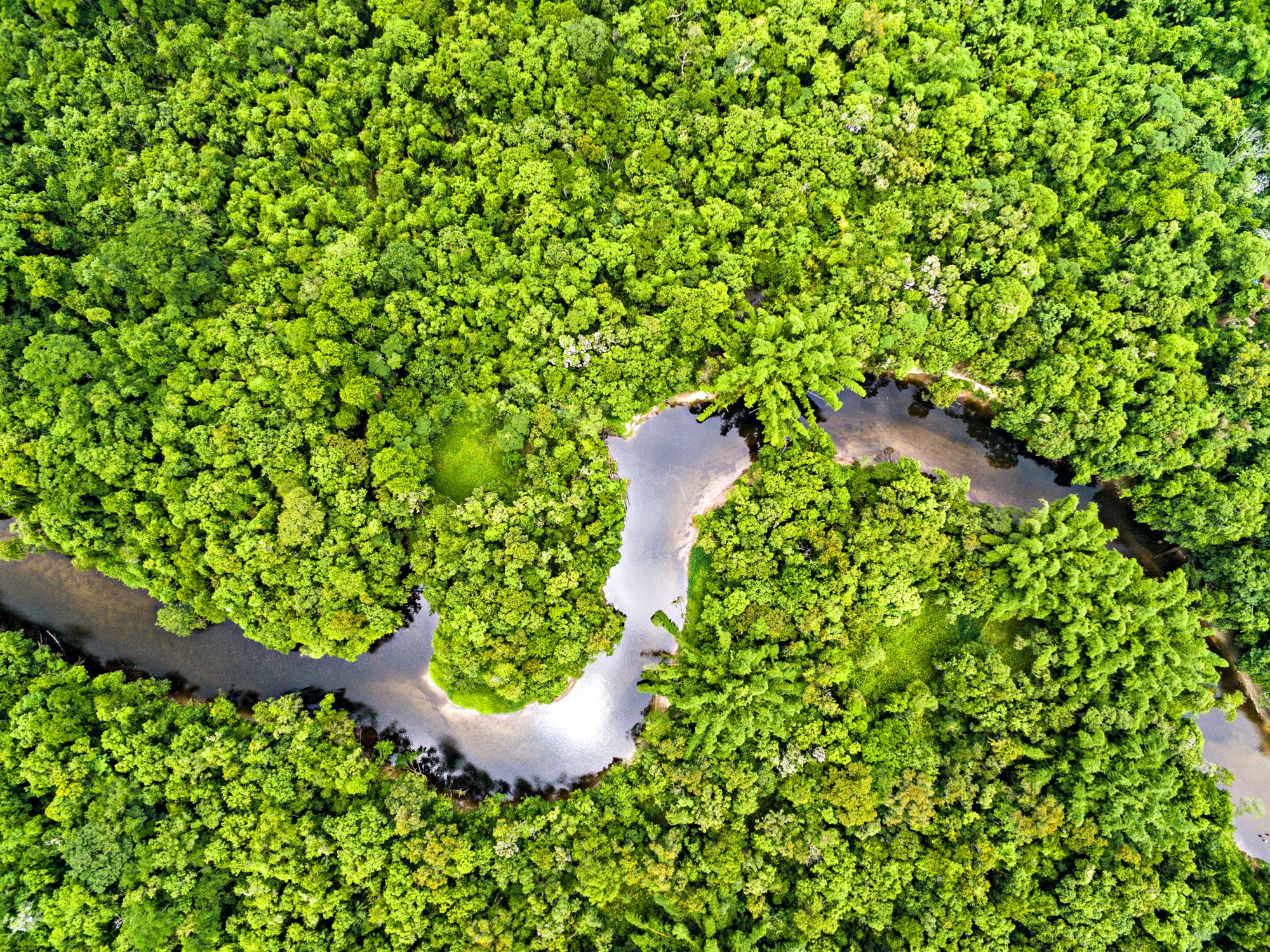 Top View of Amazon Rainforest, Brazil