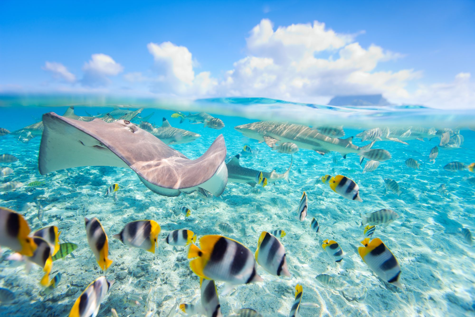 Tuamotu-Archipel-Passage