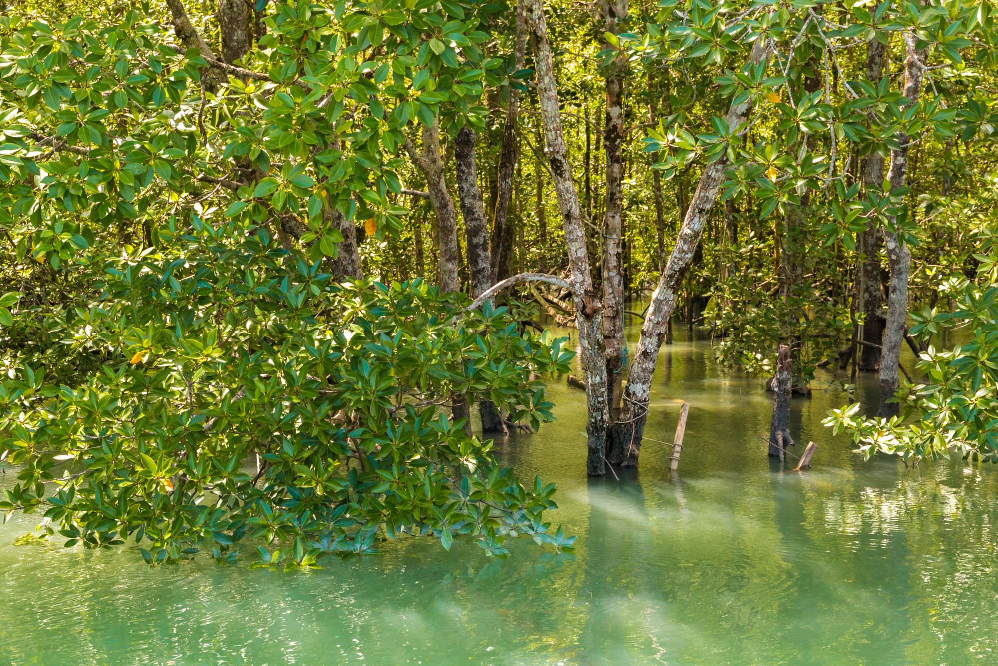 Ausflüge in die Natur