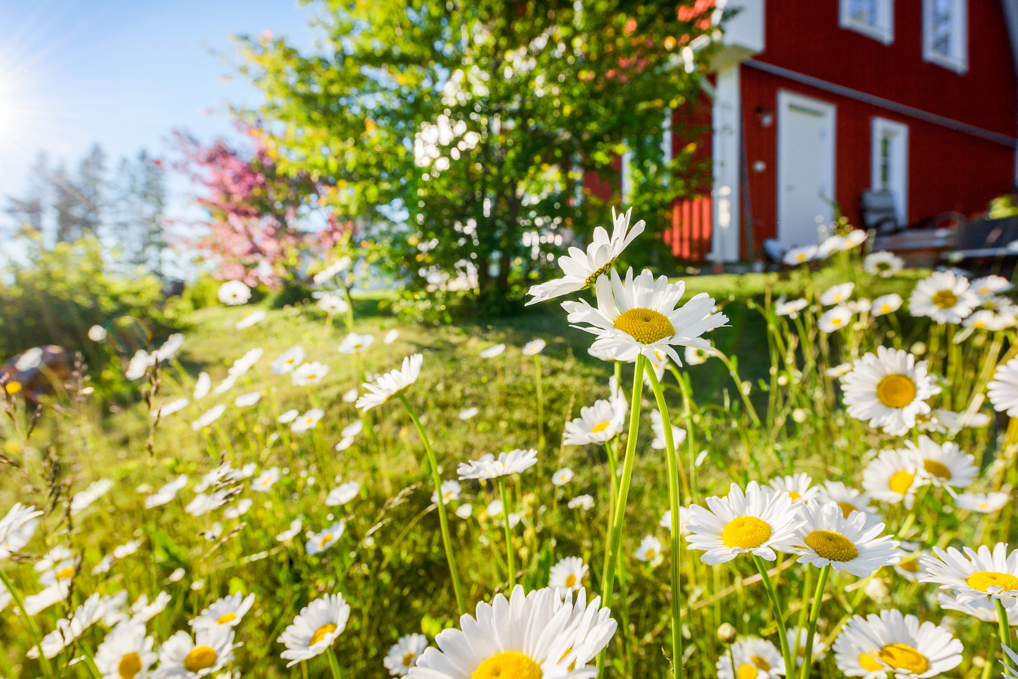 Sommer mit Bordguthaben