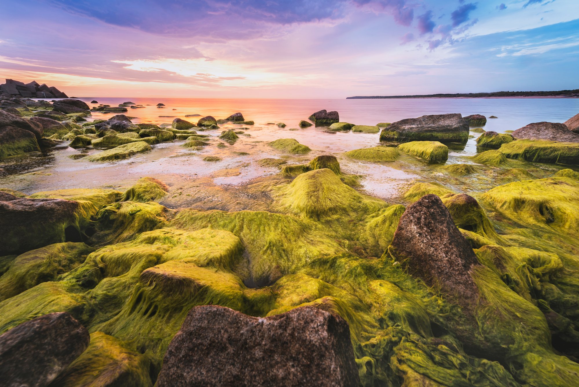 Blick aufs Meer, im Vordergrund sind Steine mit grünen Algen & Seegras überzogen, der rosa, orange, blaue Himmel spiegelt sich im Meer.