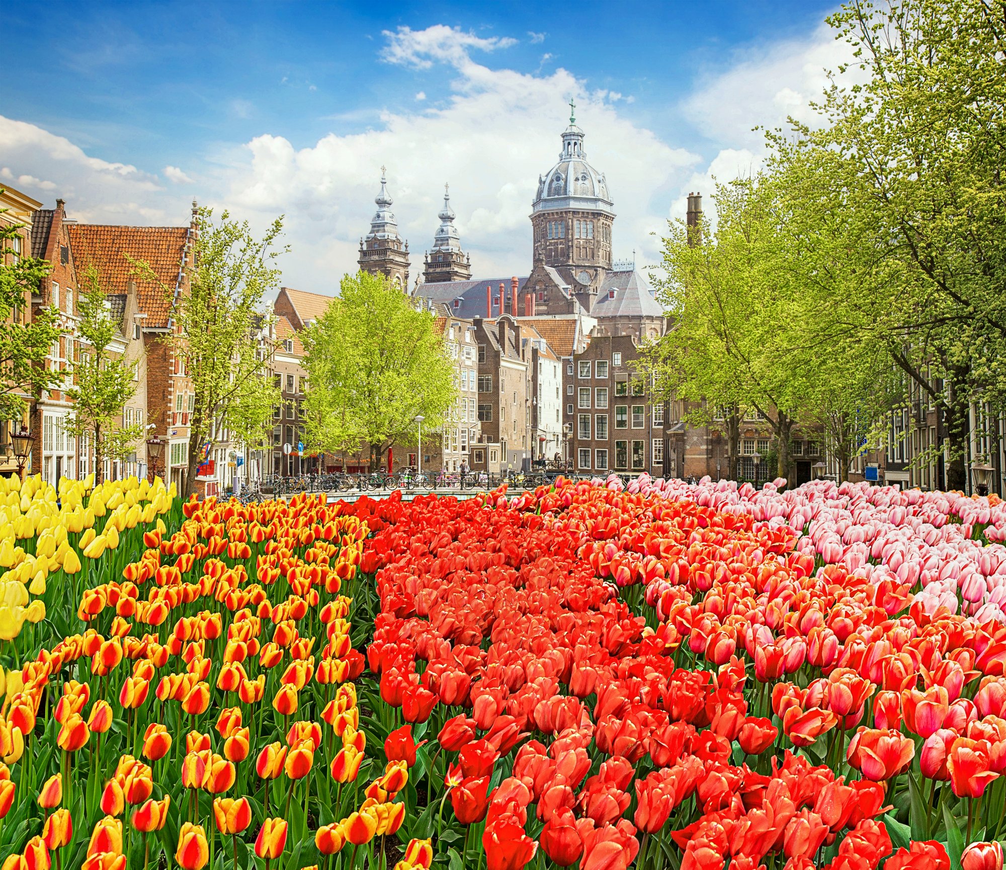 Church of St Nicholas, old town with tulips in Amsterdam, Holland, toned
