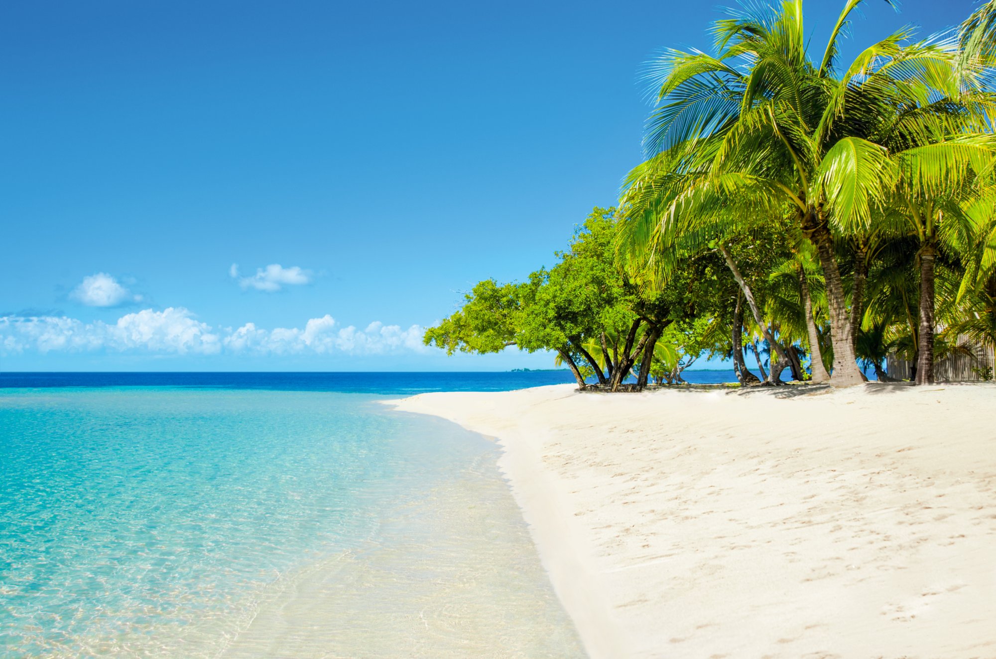 Palmenstrand auf Belize