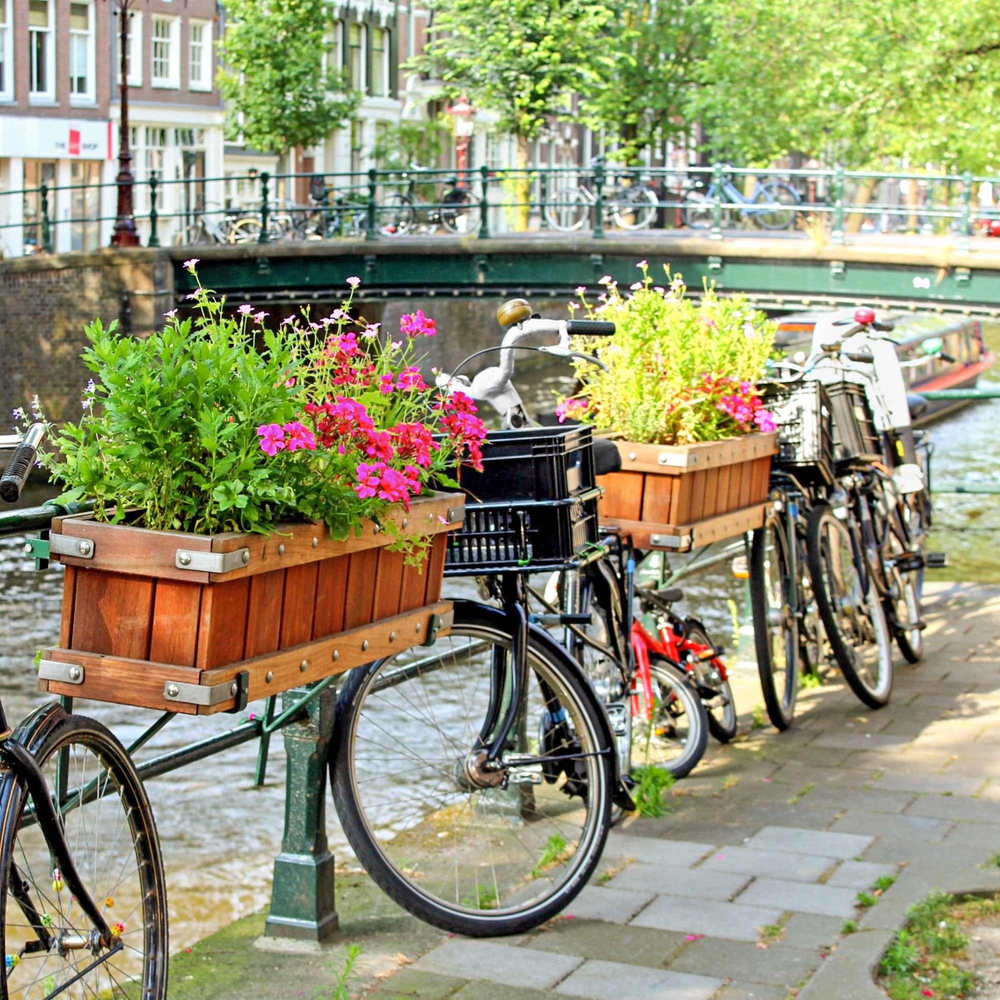 Fahrräder lehnen an einem Geländer neben einer Gracht