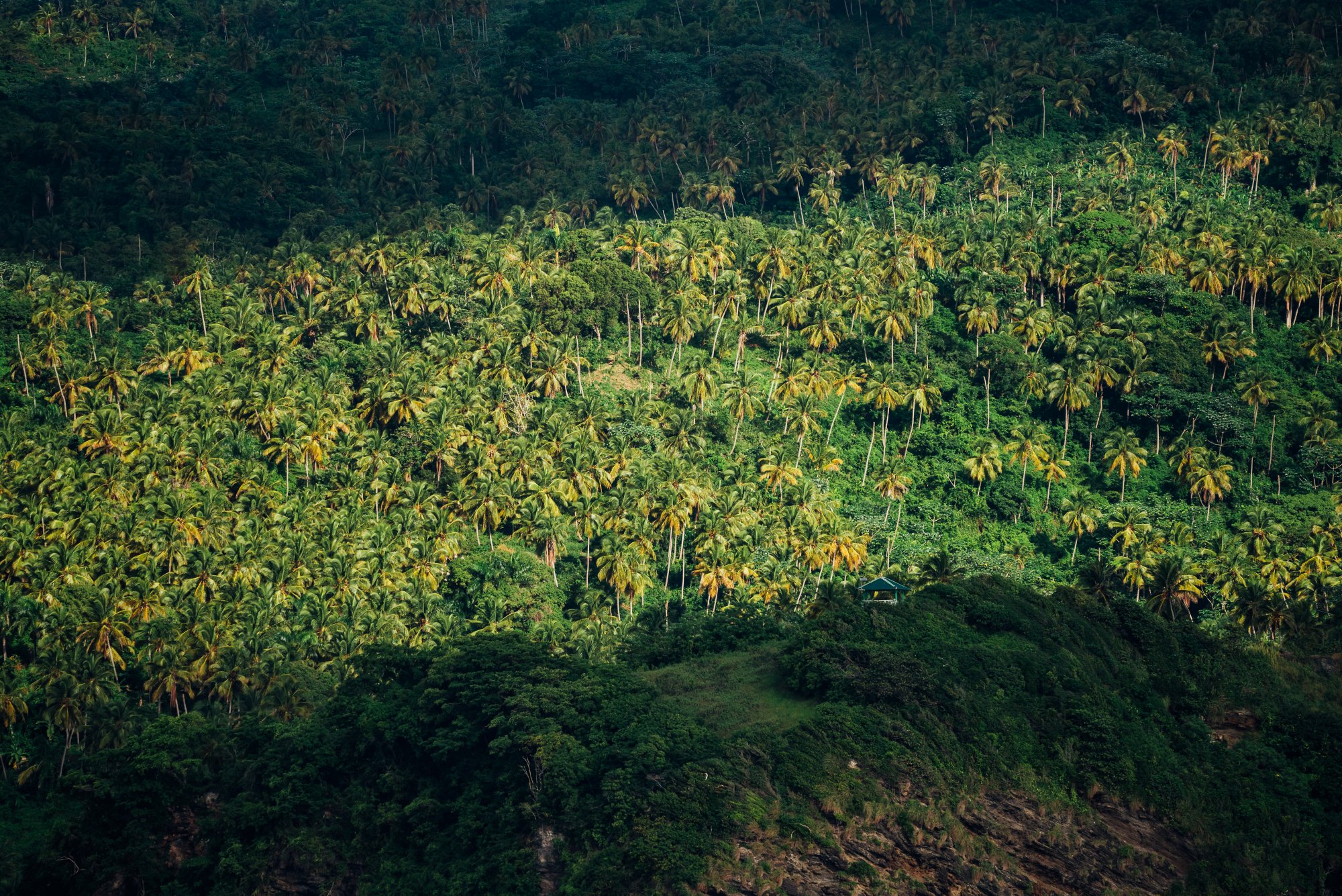 Ausflug zum Hausberg