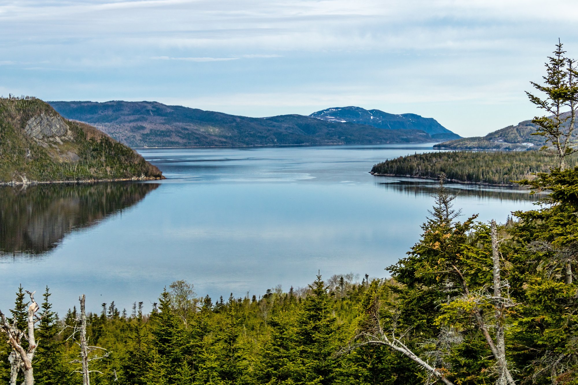 One of the many bays taken from the Roadside, Gros Morne National Park, Newfoundland, Canada