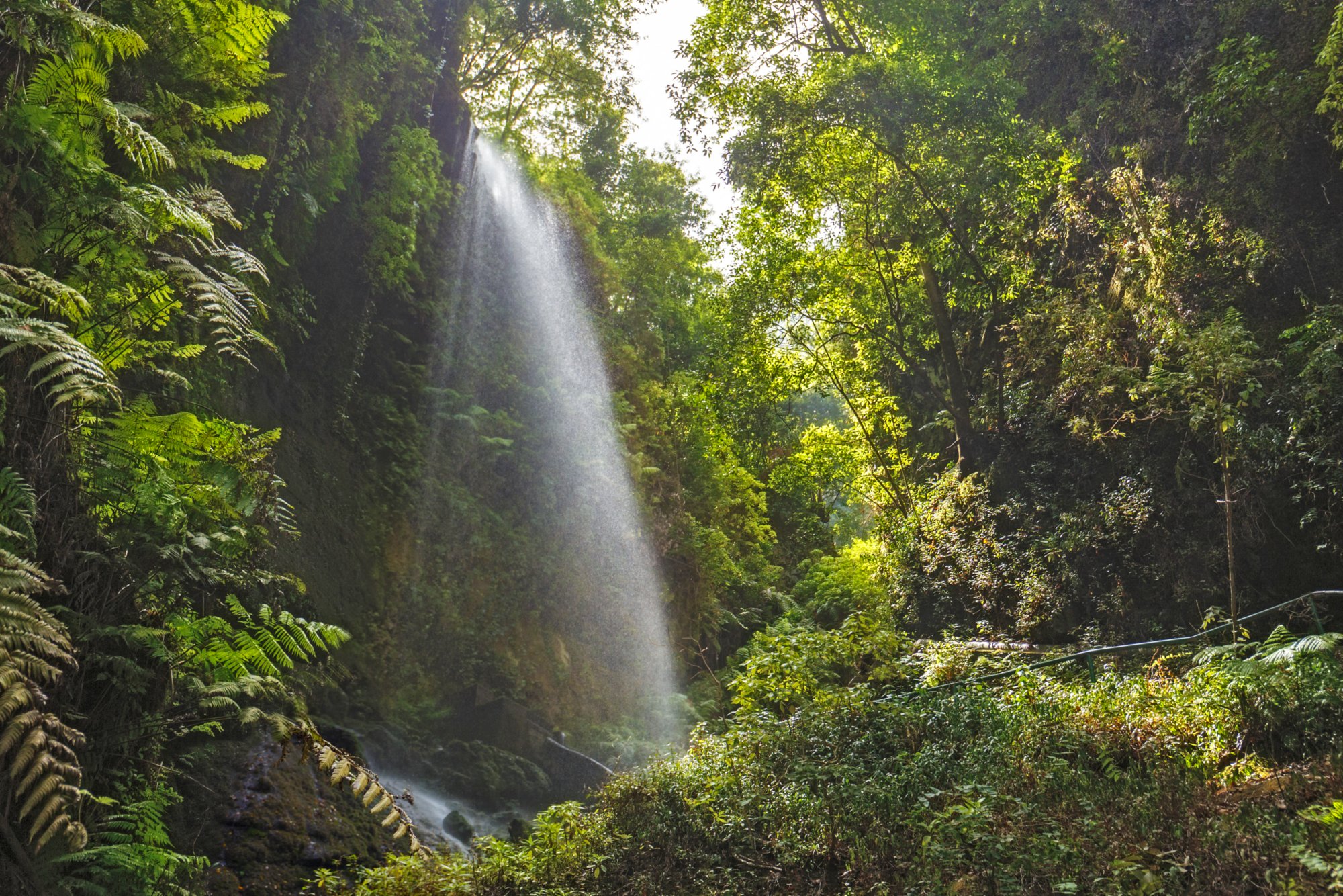 Los Tilos Waterfall in La Palma, Canary Islands