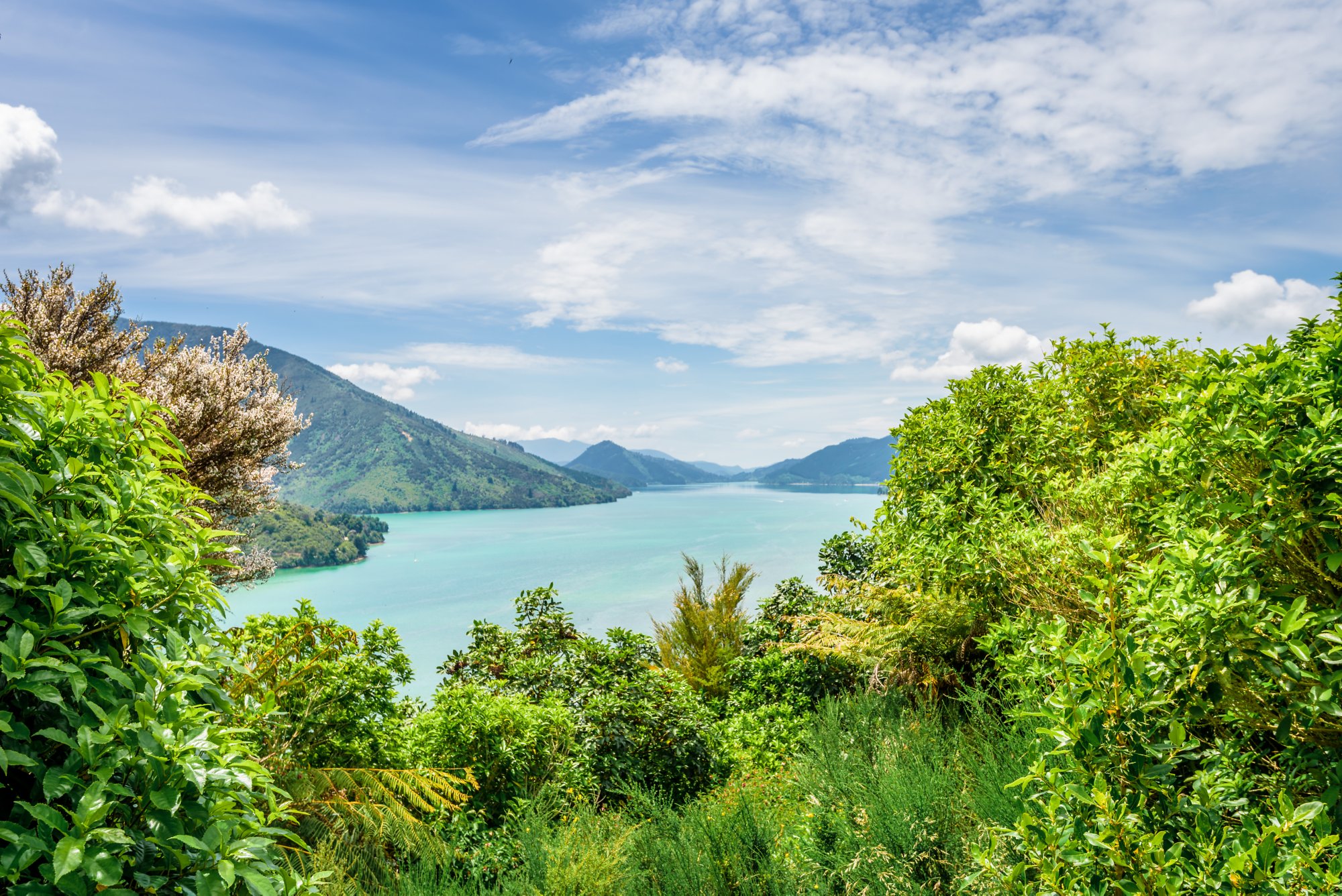 Der Queen Charlotte Sound