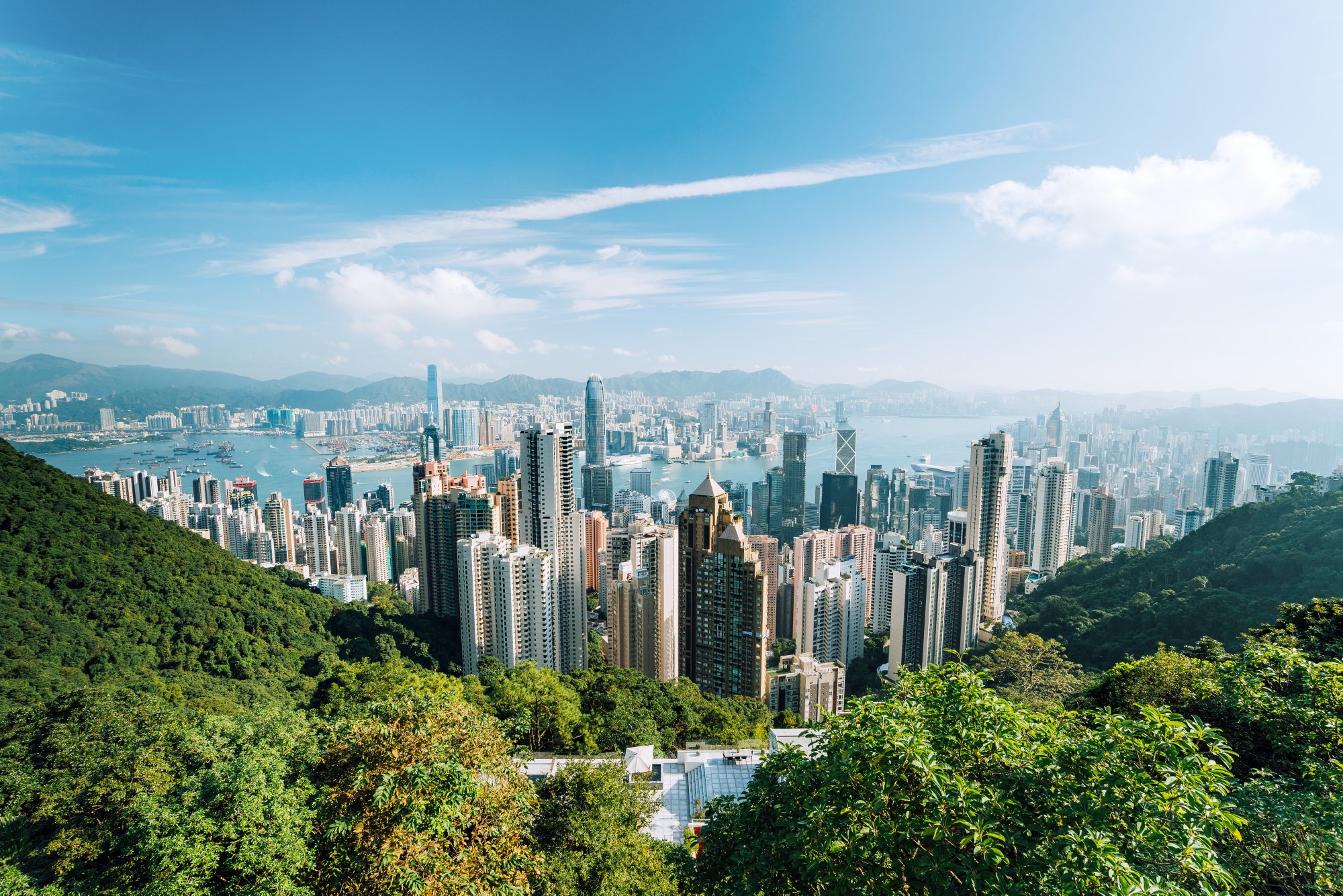 Blick auf Berge, Wald und die Skyline von Hongkong