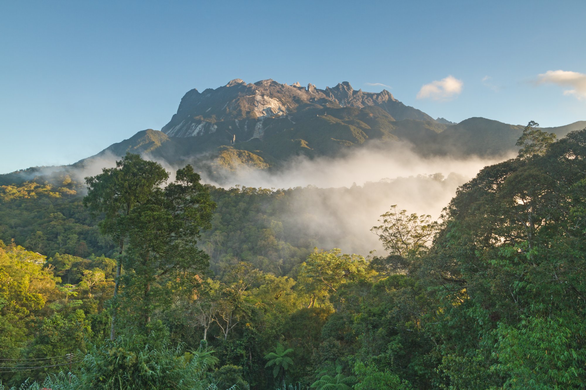 Der Kinabalu National Park