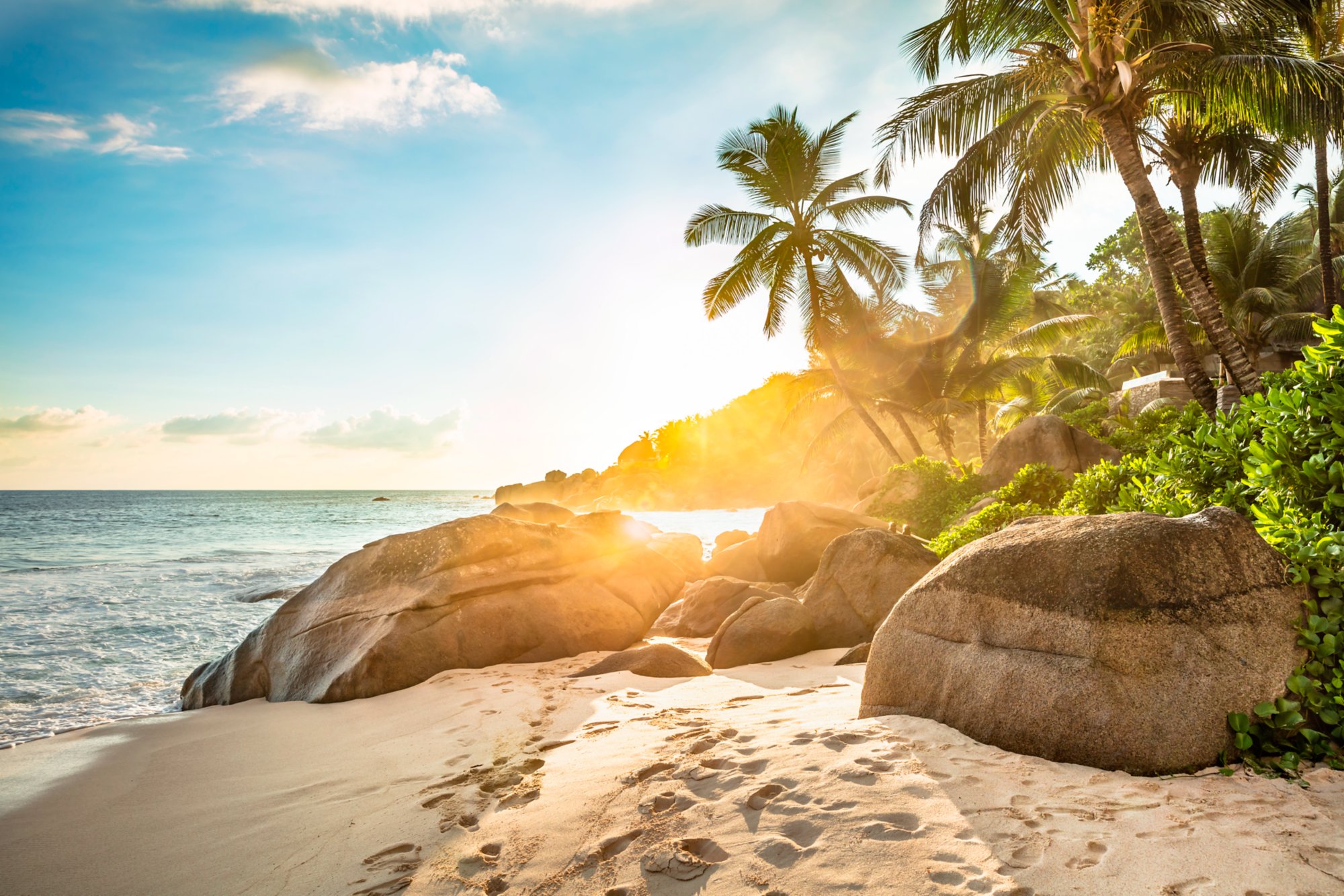 Sunlight Over Palm Trees On Anse Intendance Beach, Mahe Island, Seychelles