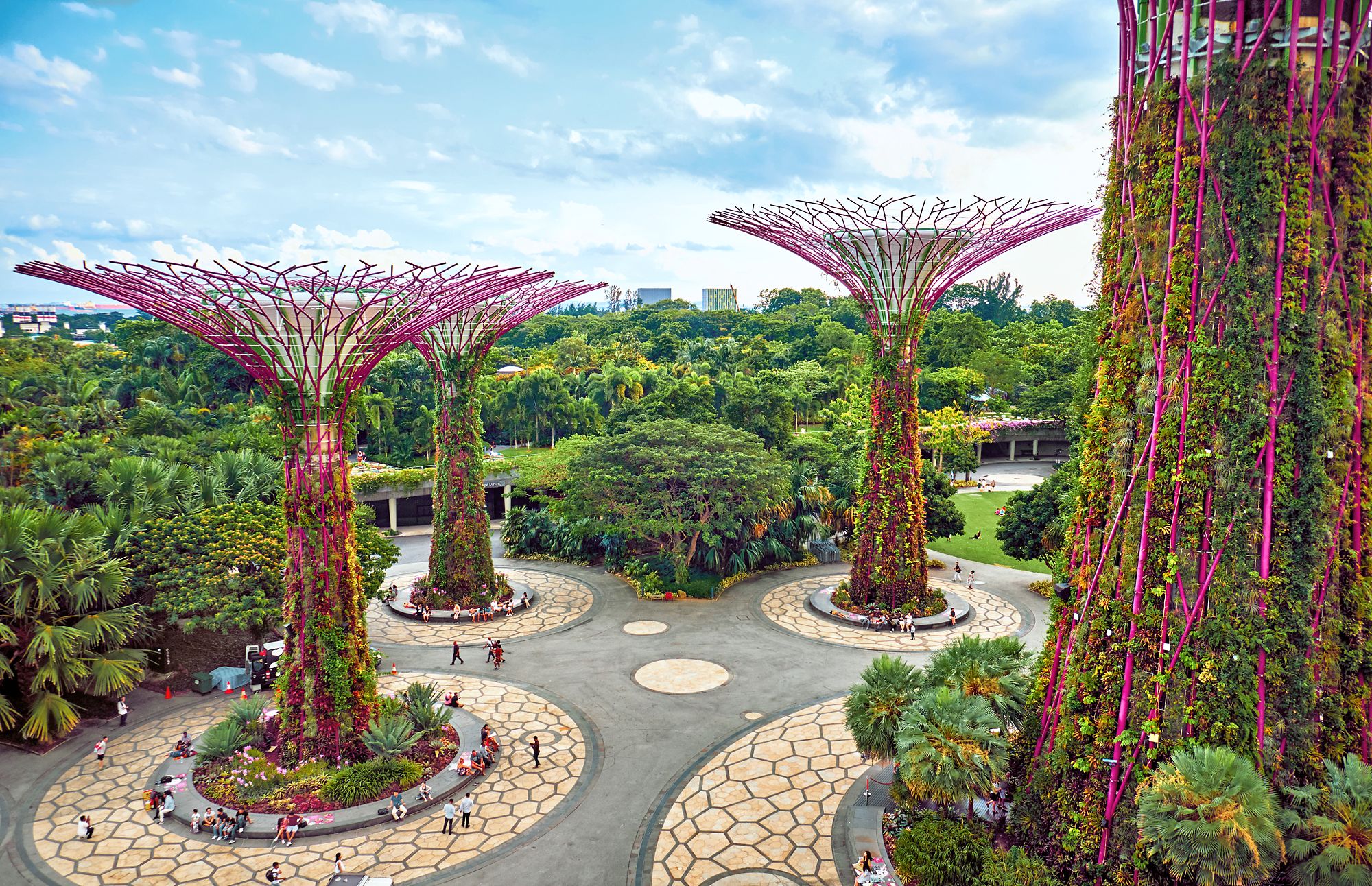 SINGAPORE - JANUARY 13, 2019:  Gardens by the Bay with Supertree is a nature park  in the Central Region of Singapore