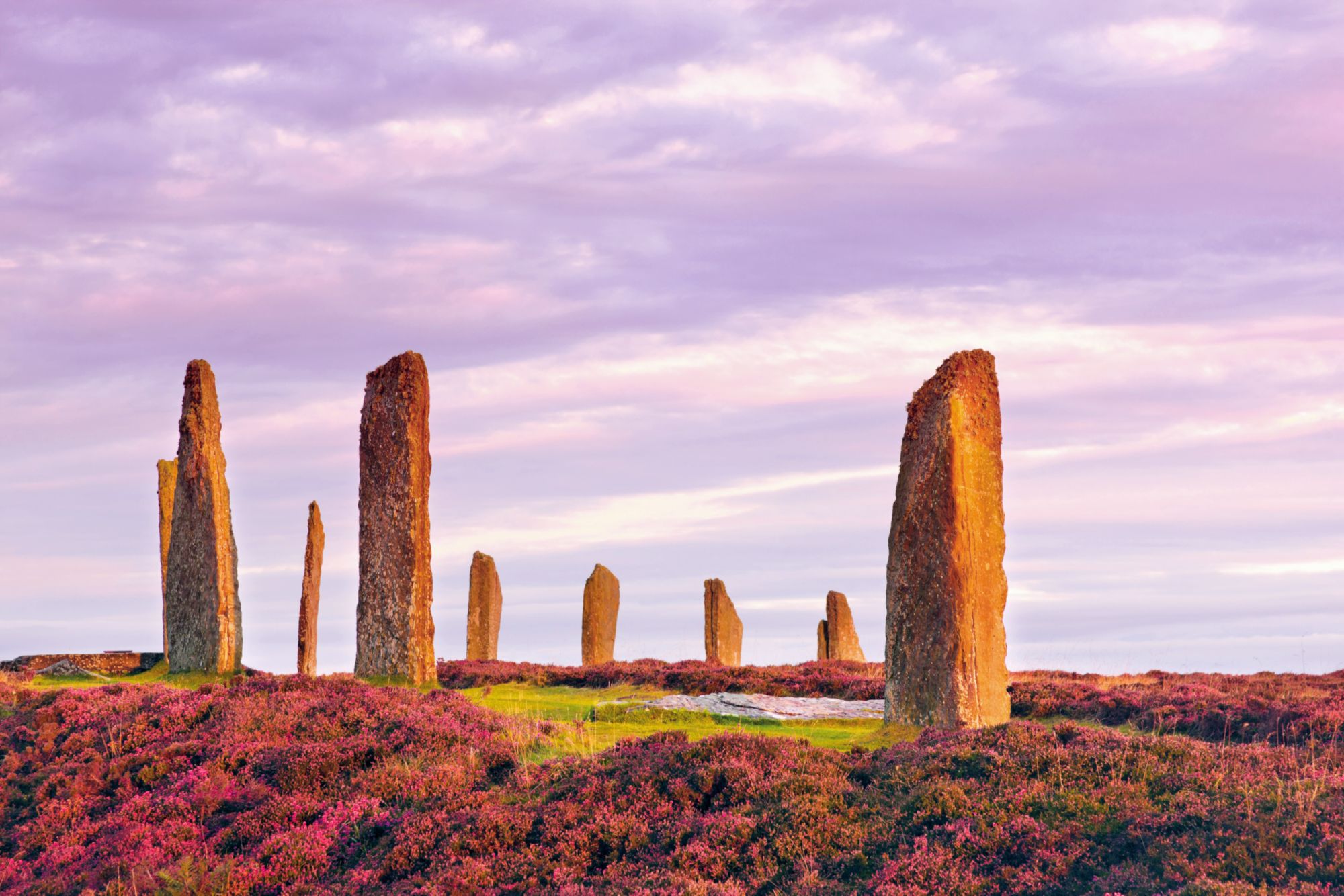 The ancient standing stones of the Ring of Brodgar in the Orkney Islands off the north coast of Scotland, in the early morning just at sunrise. This monument in the heart of the Neolithic Orkney World Heritage Site is believed to have been built between 4000 and 4500 years ago. Originally built with sixty stones in a circle over 100 metres (over 100 yards) across, fewer than half of the stones still stand. The tallest of the stones is a little over 4.5 metres (15 feet) tall.