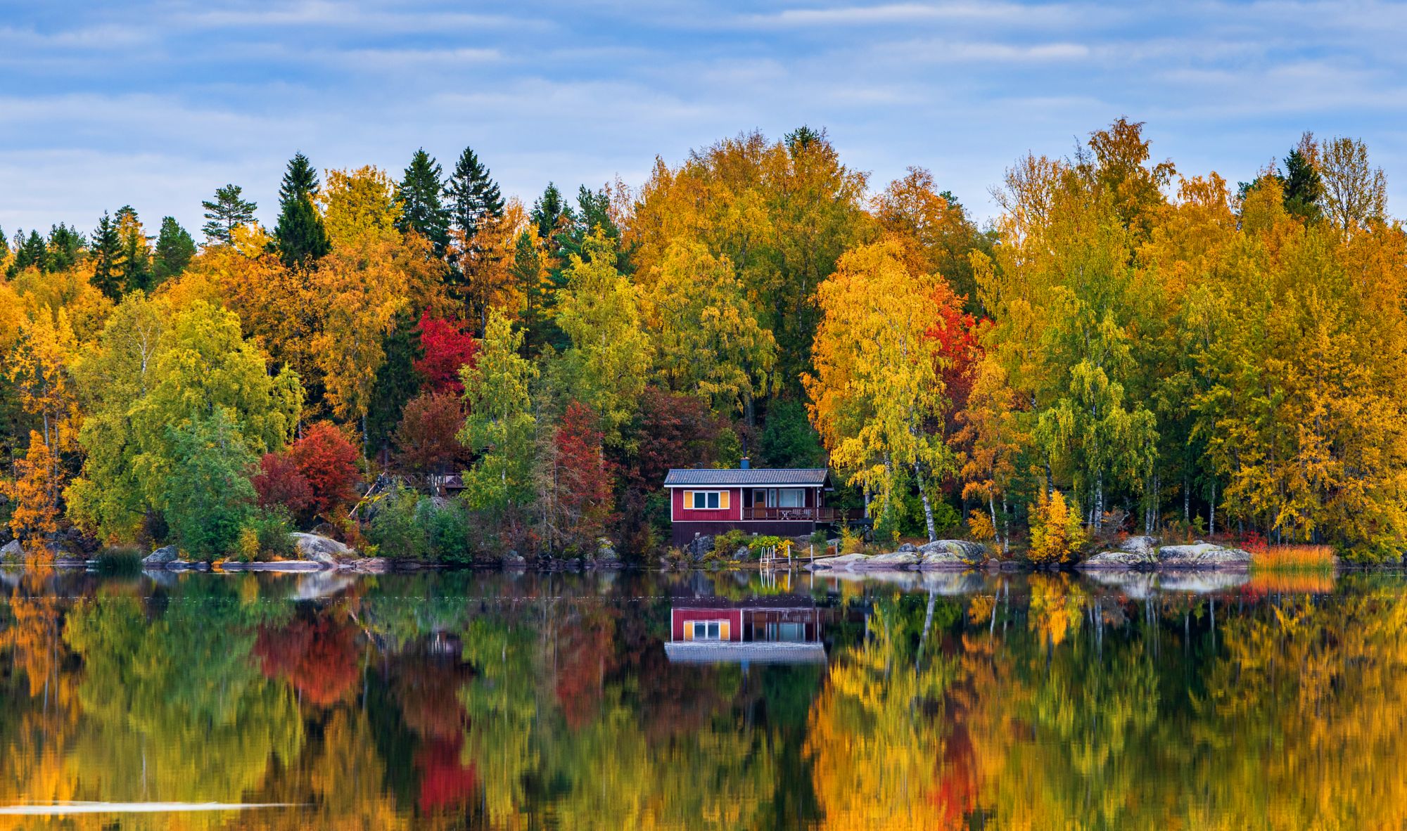 Herbstlich gefärbte Bäume an einem See