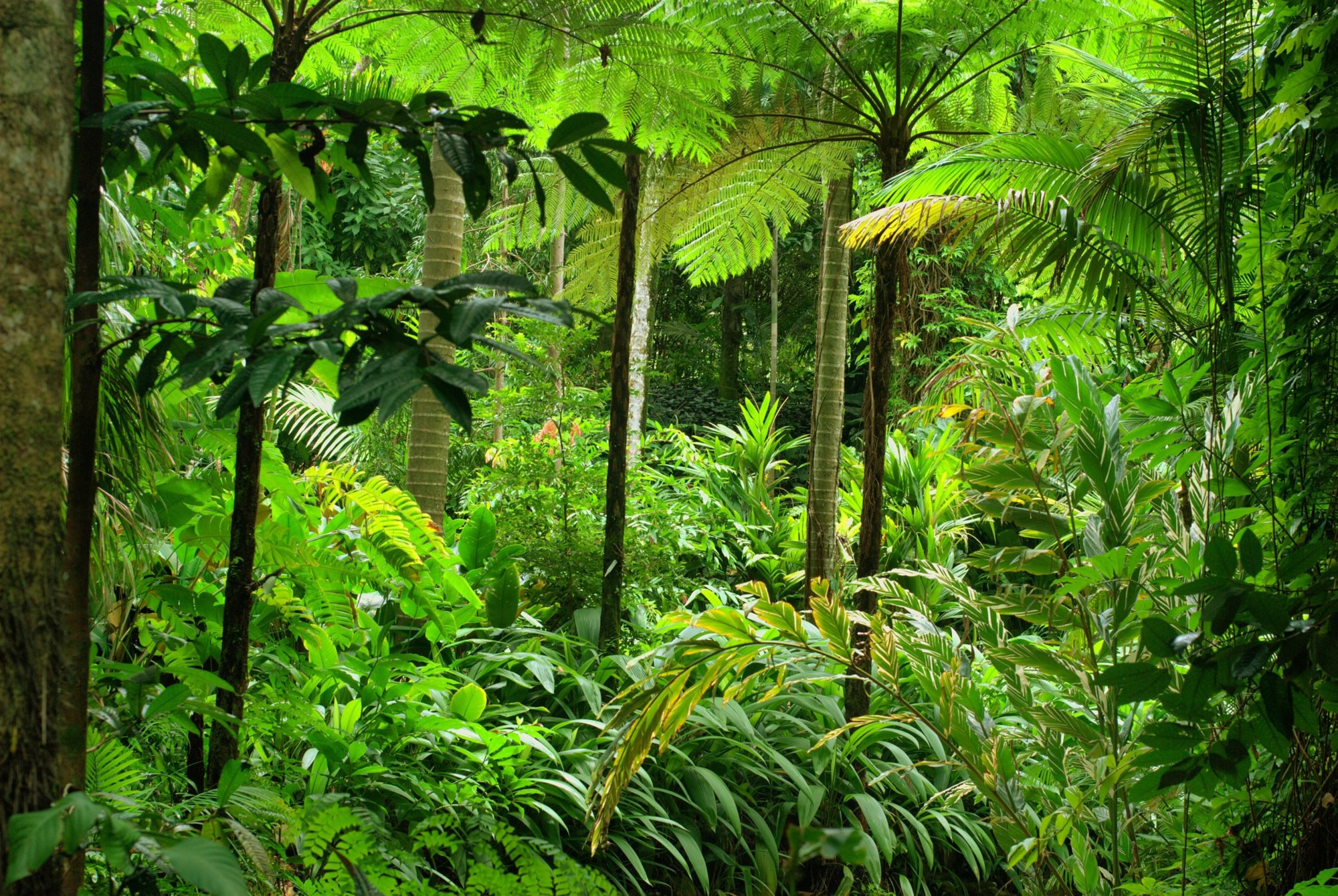 Conway National Park