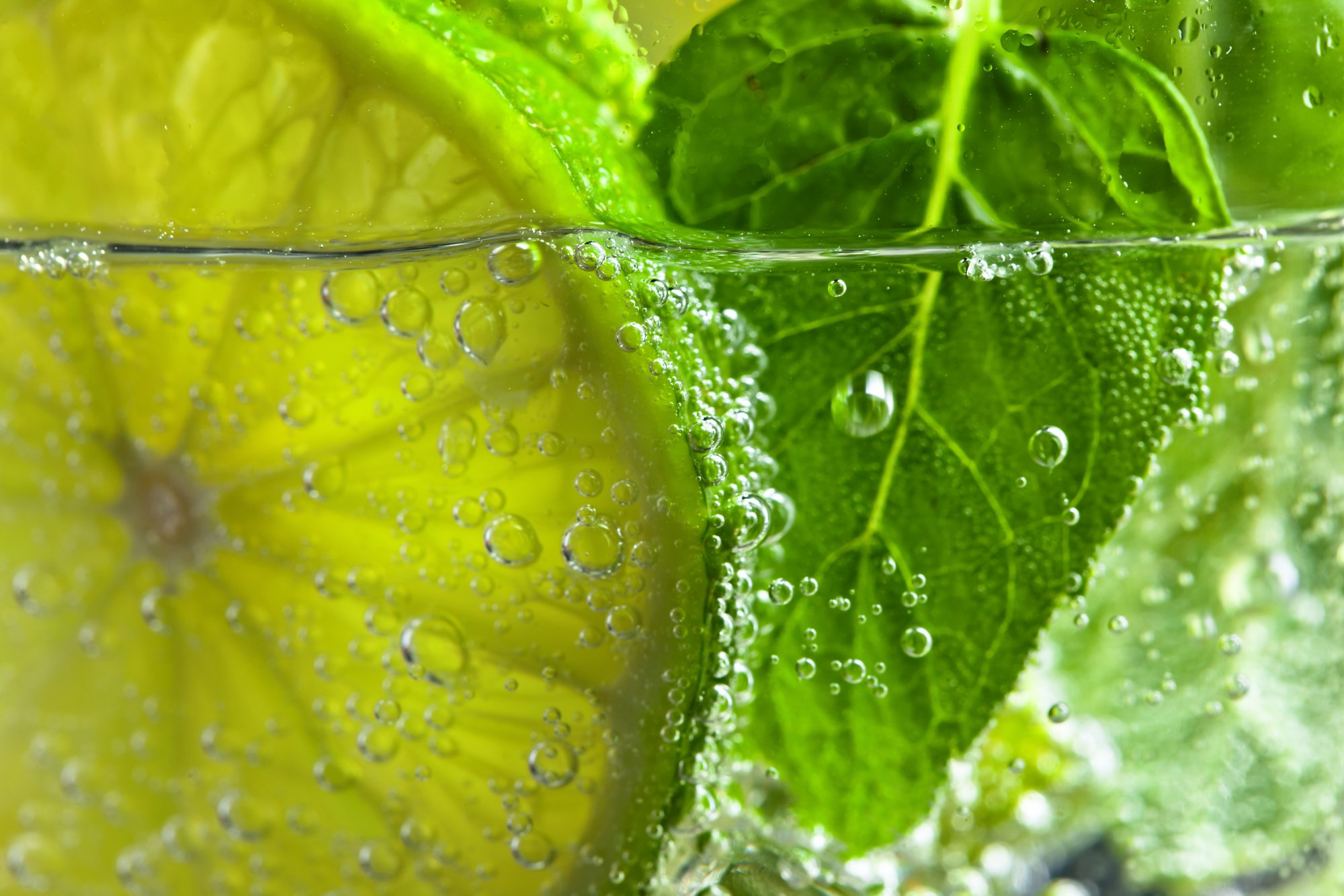  cocktail with lime , ice  and peppermint leaves 