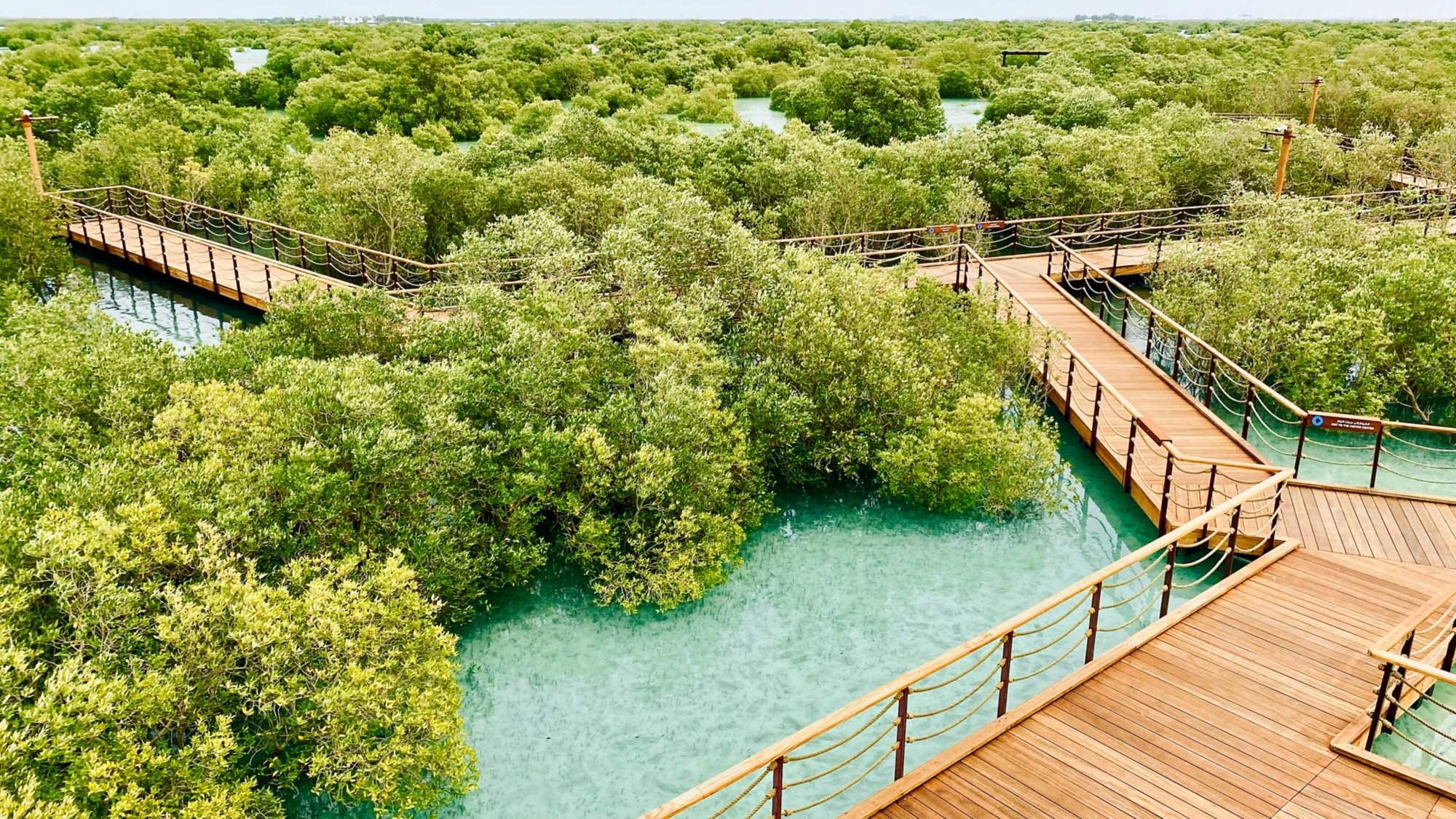 bridge over the river in summer in Abu Dhabi