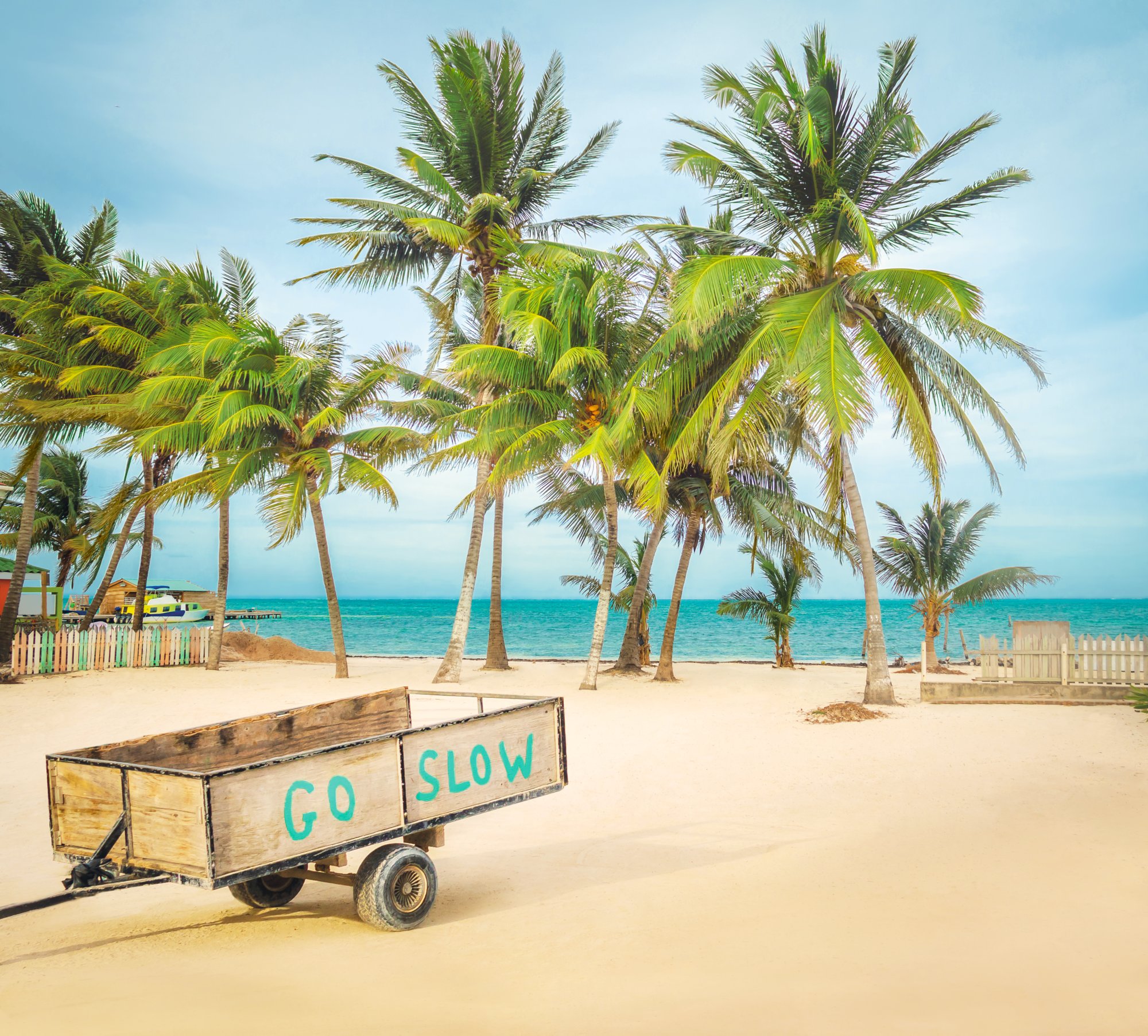 Wooden Cart with Go Slow message in a tropical beach with palm trees - Caye Caulker, Belize
