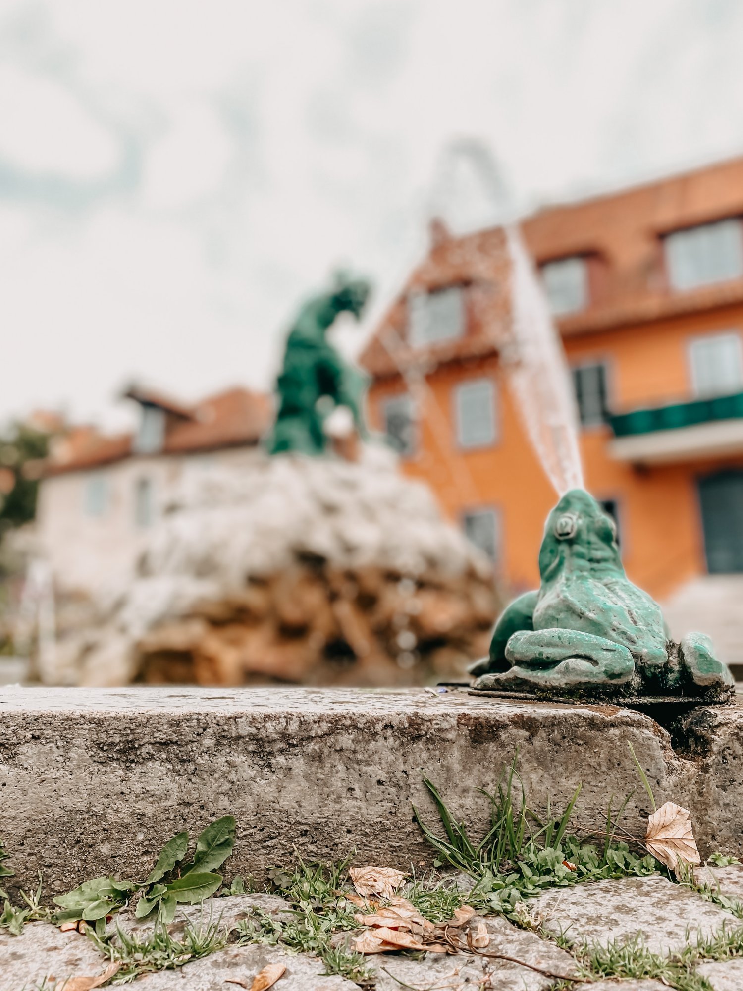 Frosch an einem Brunnen