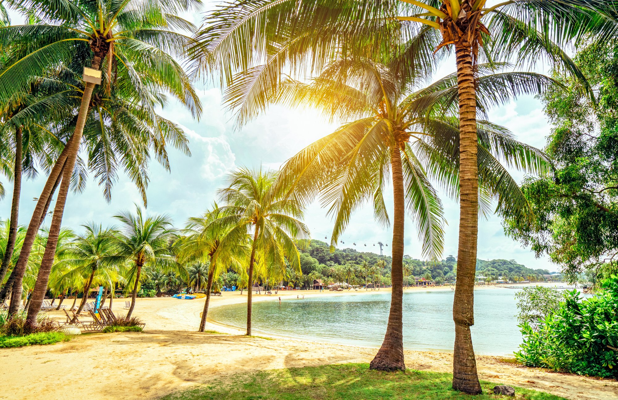 Palmen am Sentosa Island Beach in Singpur