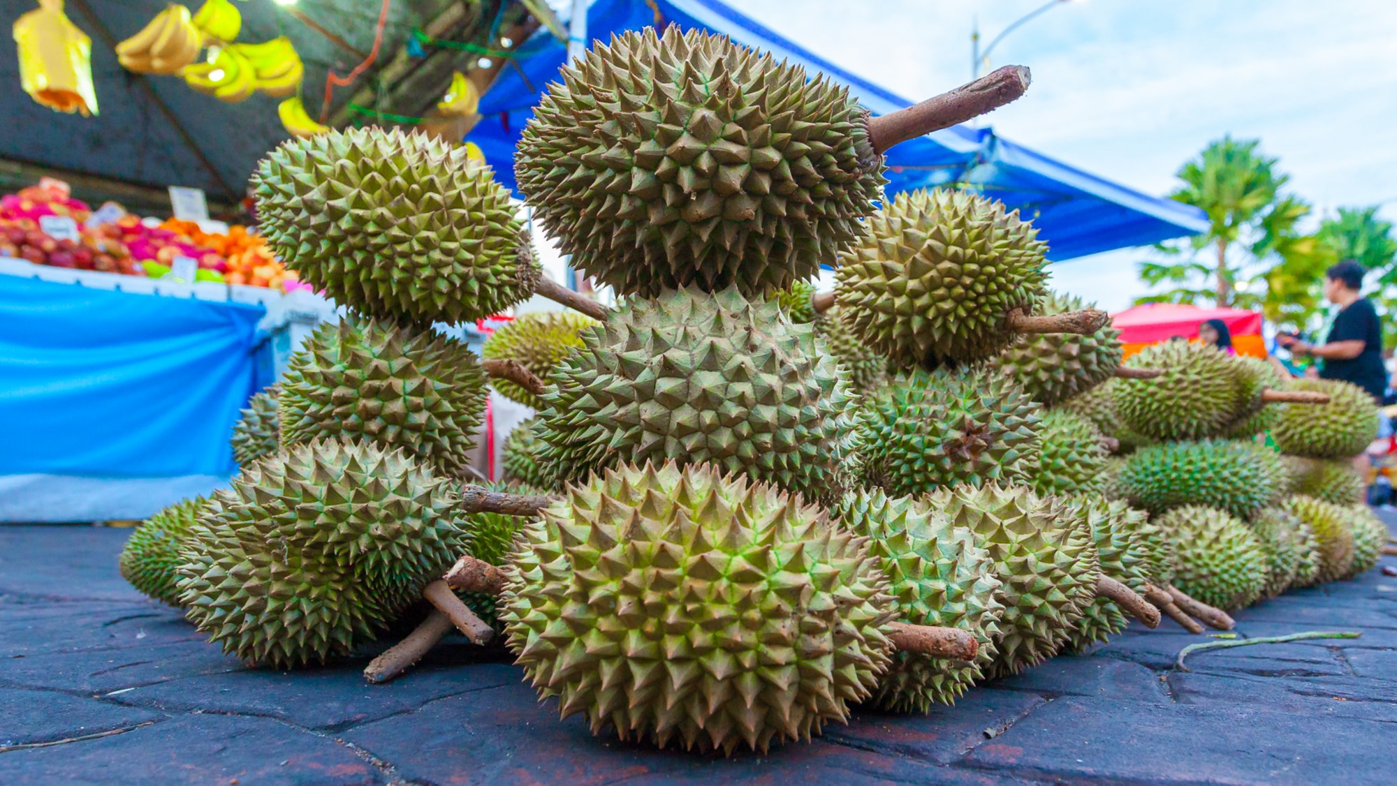 Coron Town entdecken