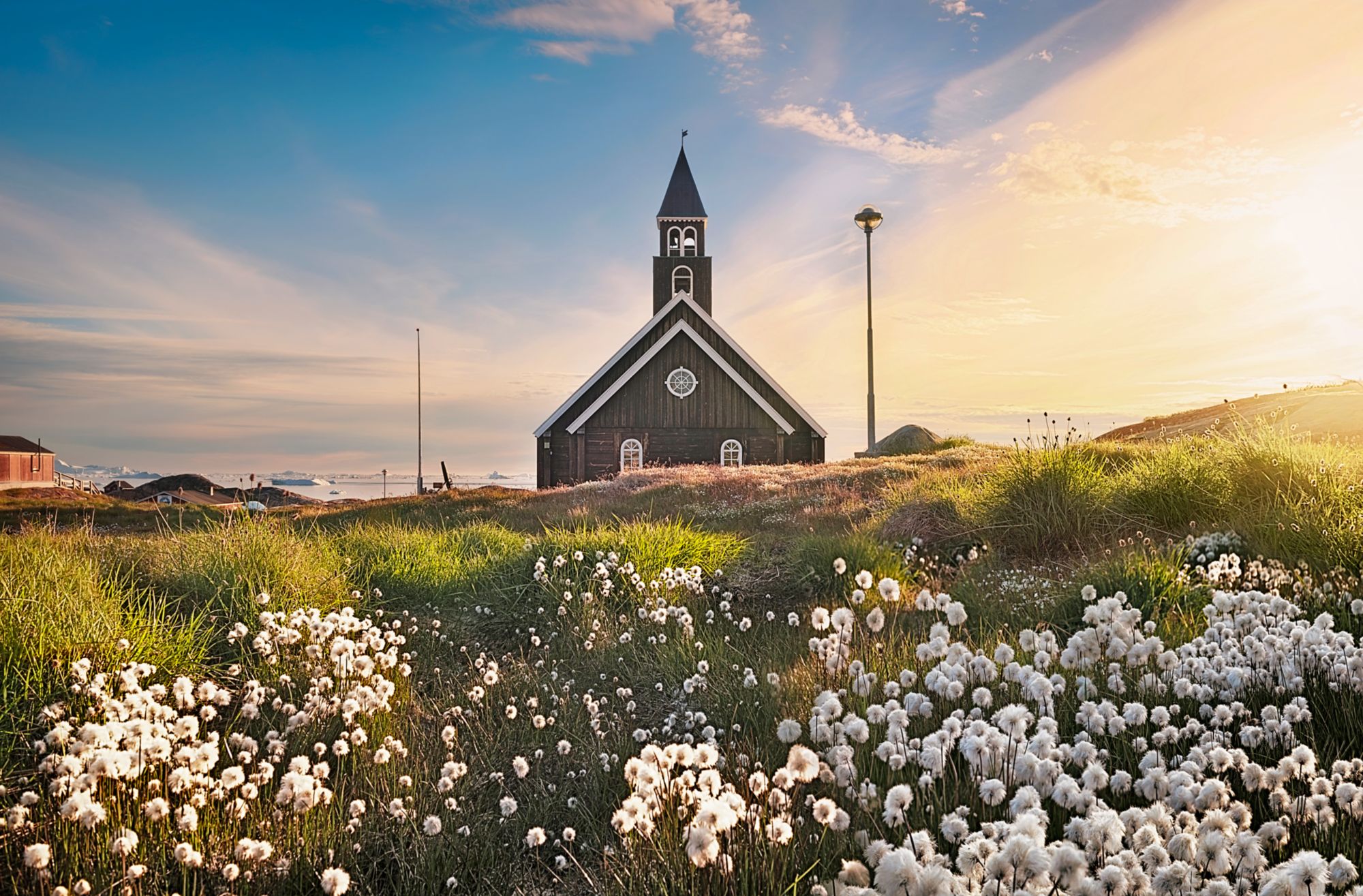 Zion black church in Ilulissat, sermermiut, Greenland, on a bright day, the light of the sun comes from the right, and the field in the foreground is filled with cotton field flowers, the sky is slightly overcast