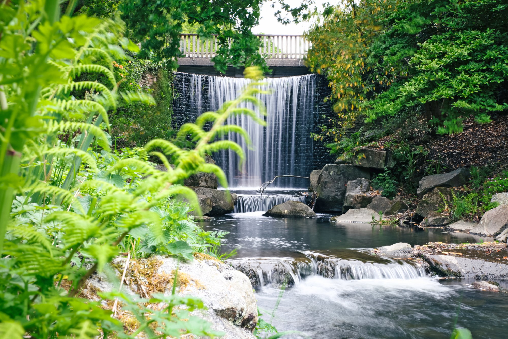 Botanischer Garten