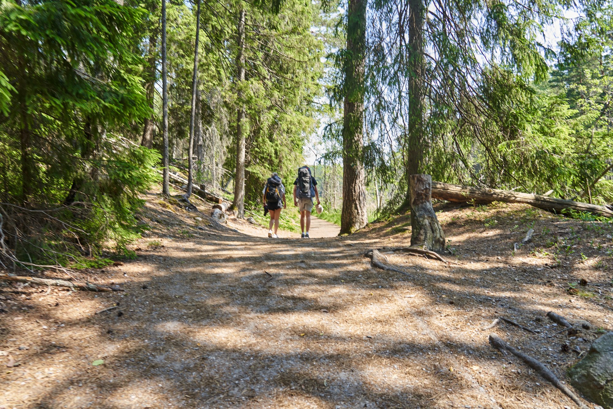 Auf einer Wanderung den Tyresta Nationalpark erkunden. 