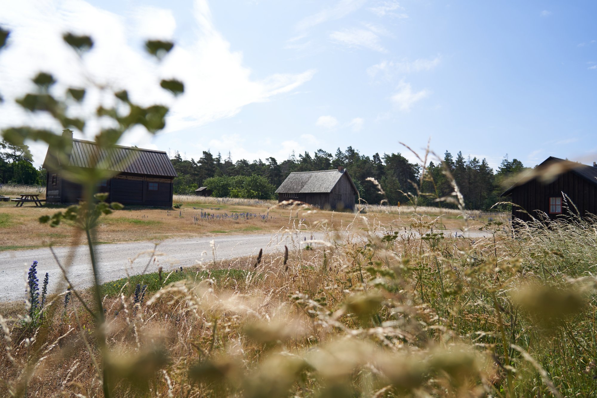 Ausflüge auf Gotland