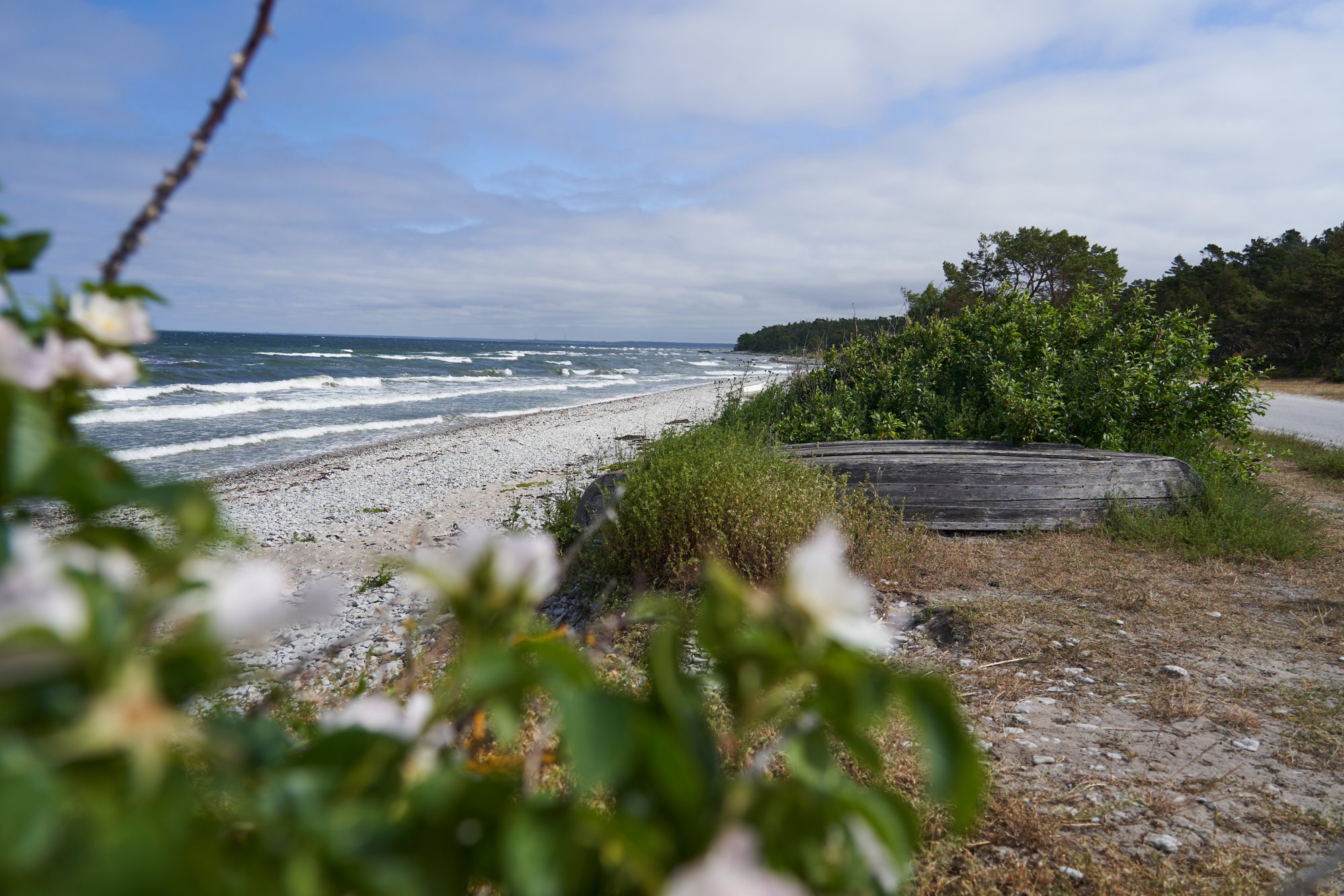 Die Natur der Insel