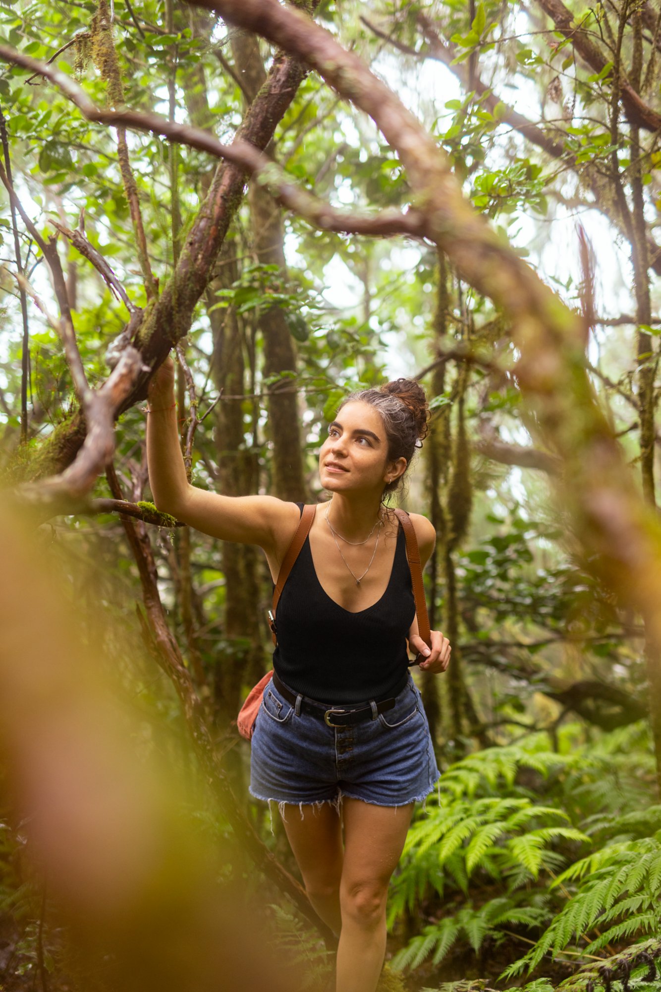 Wandern im Nationalpark