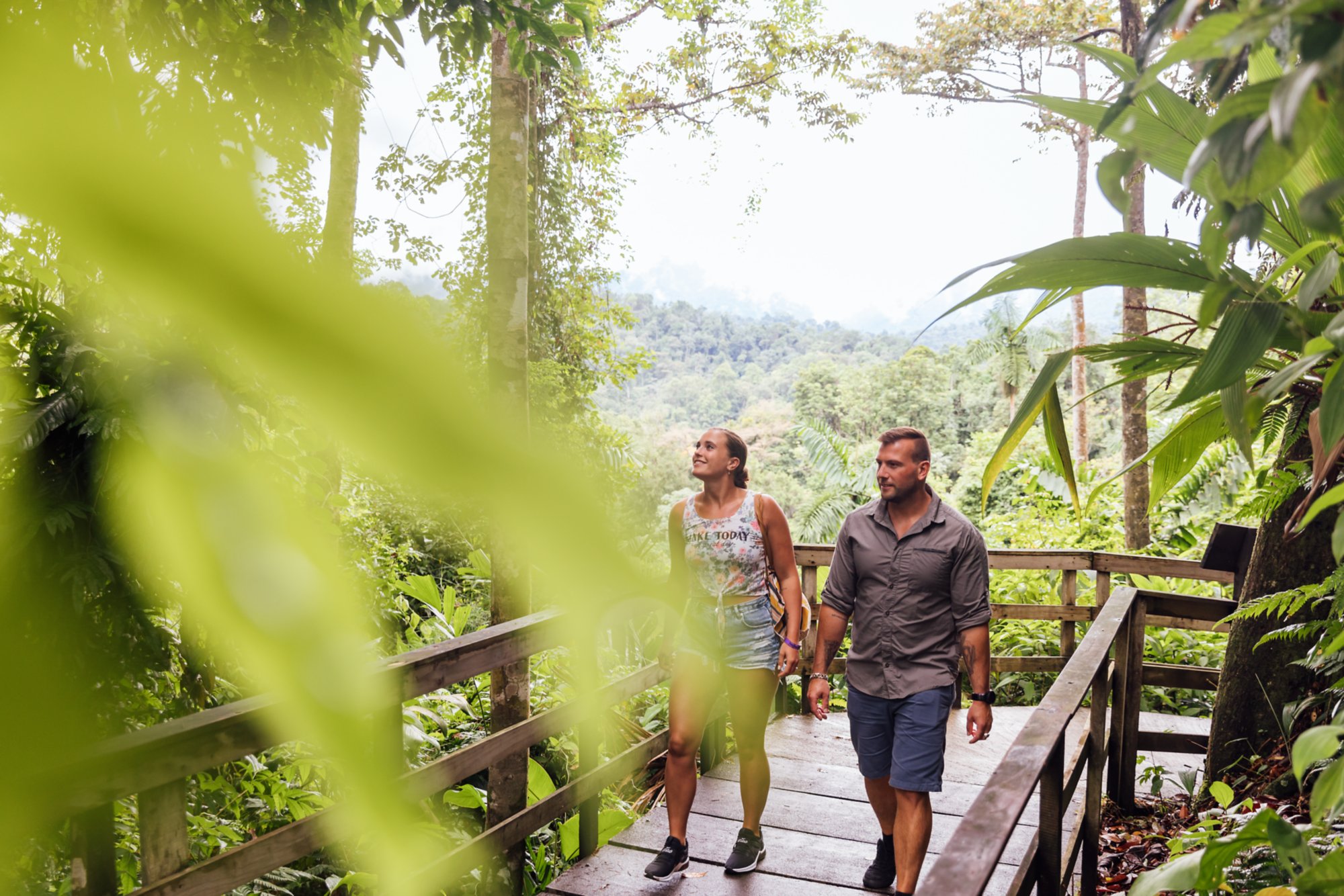 Die Natur der Provinz Limón
