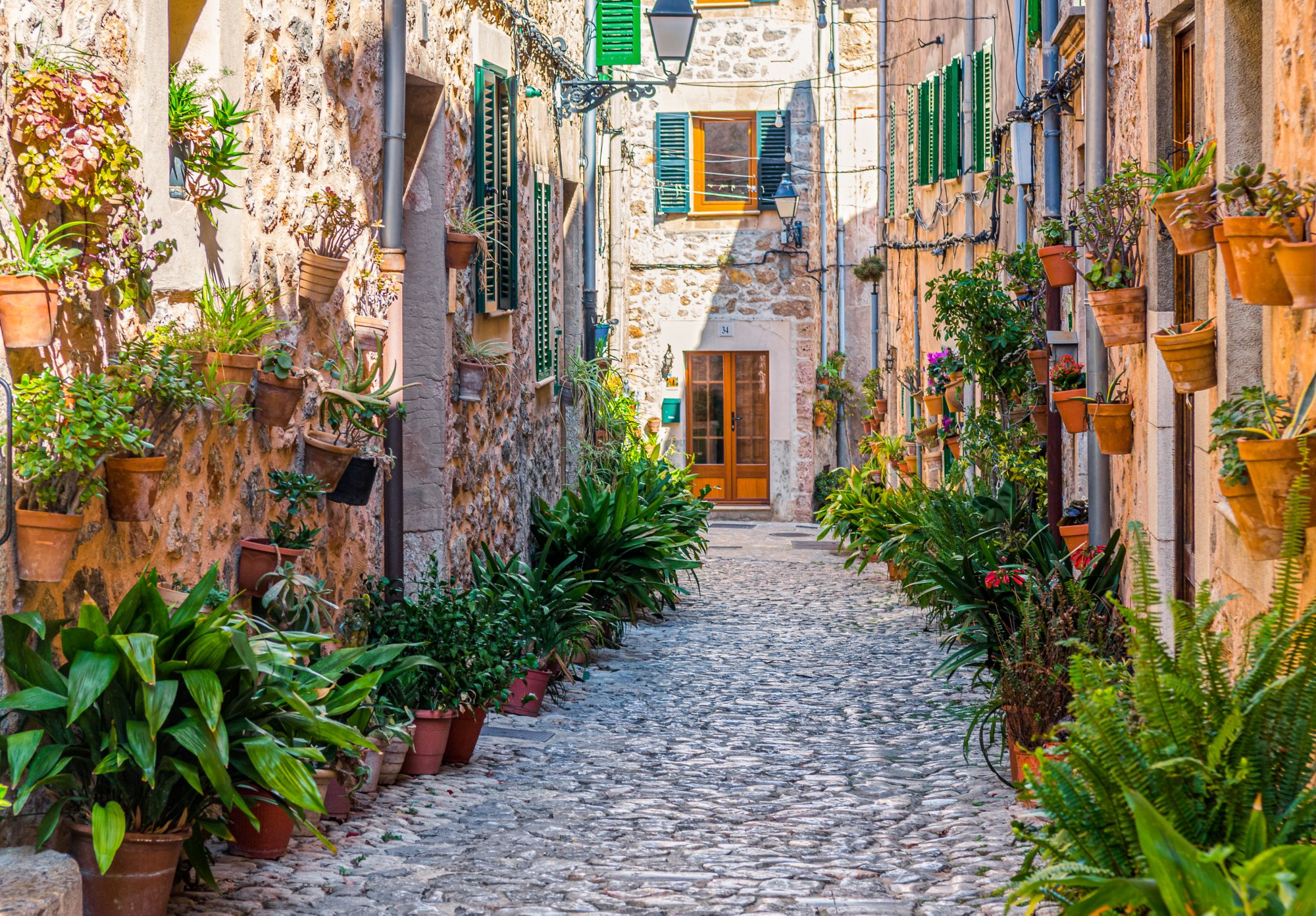Kleine Gasse mit vielen grünen Topfpflanzen in Palma de Mallorca