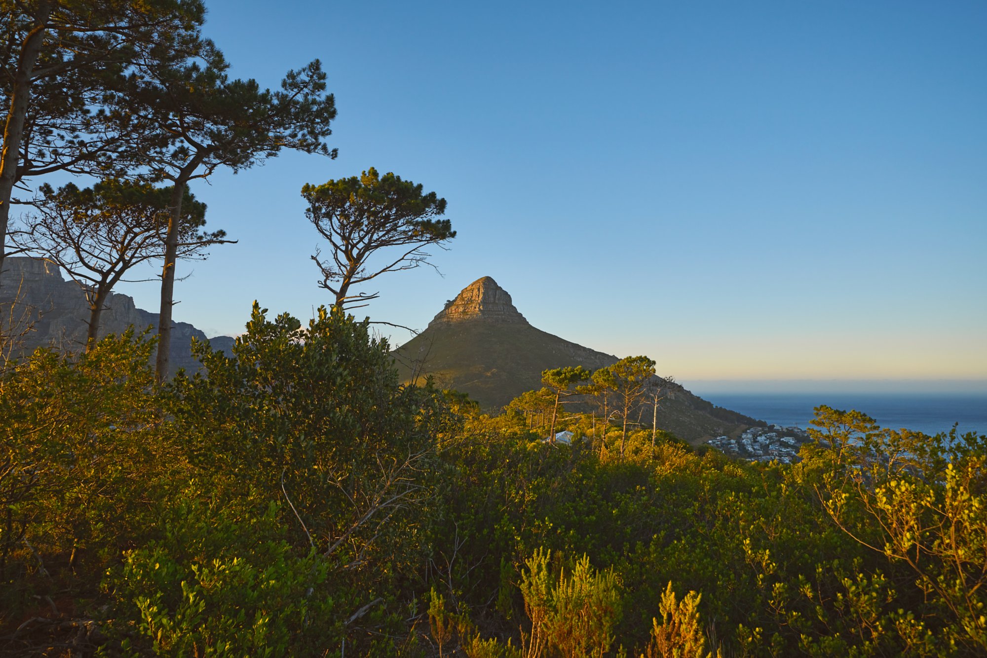 Blick vom Signal Hill auf den Lions Head