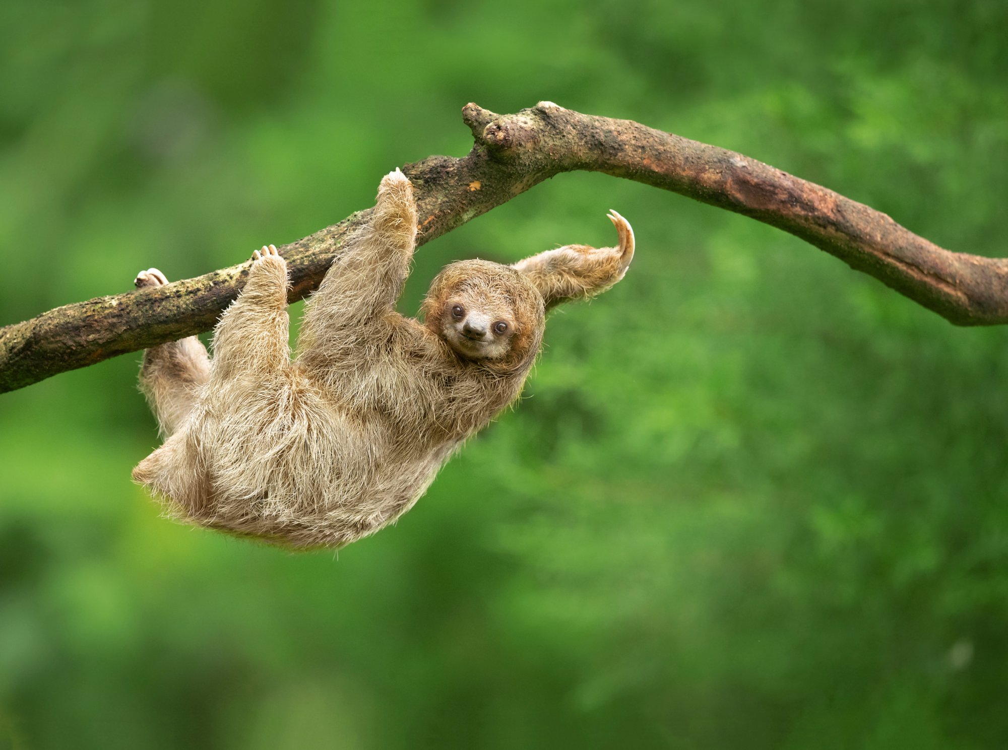 Wandern im Nationalpark