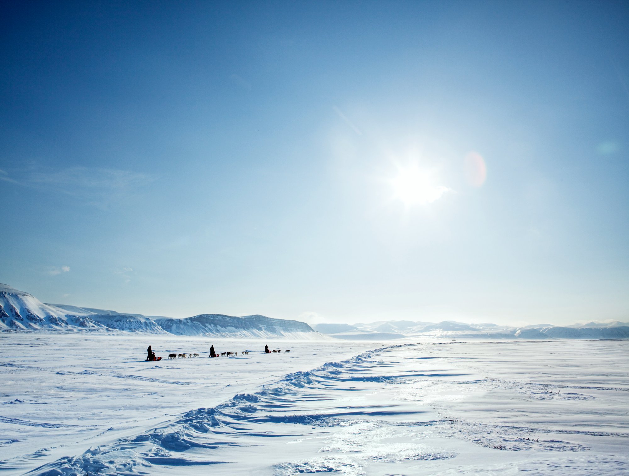 Winterliche Landschaft