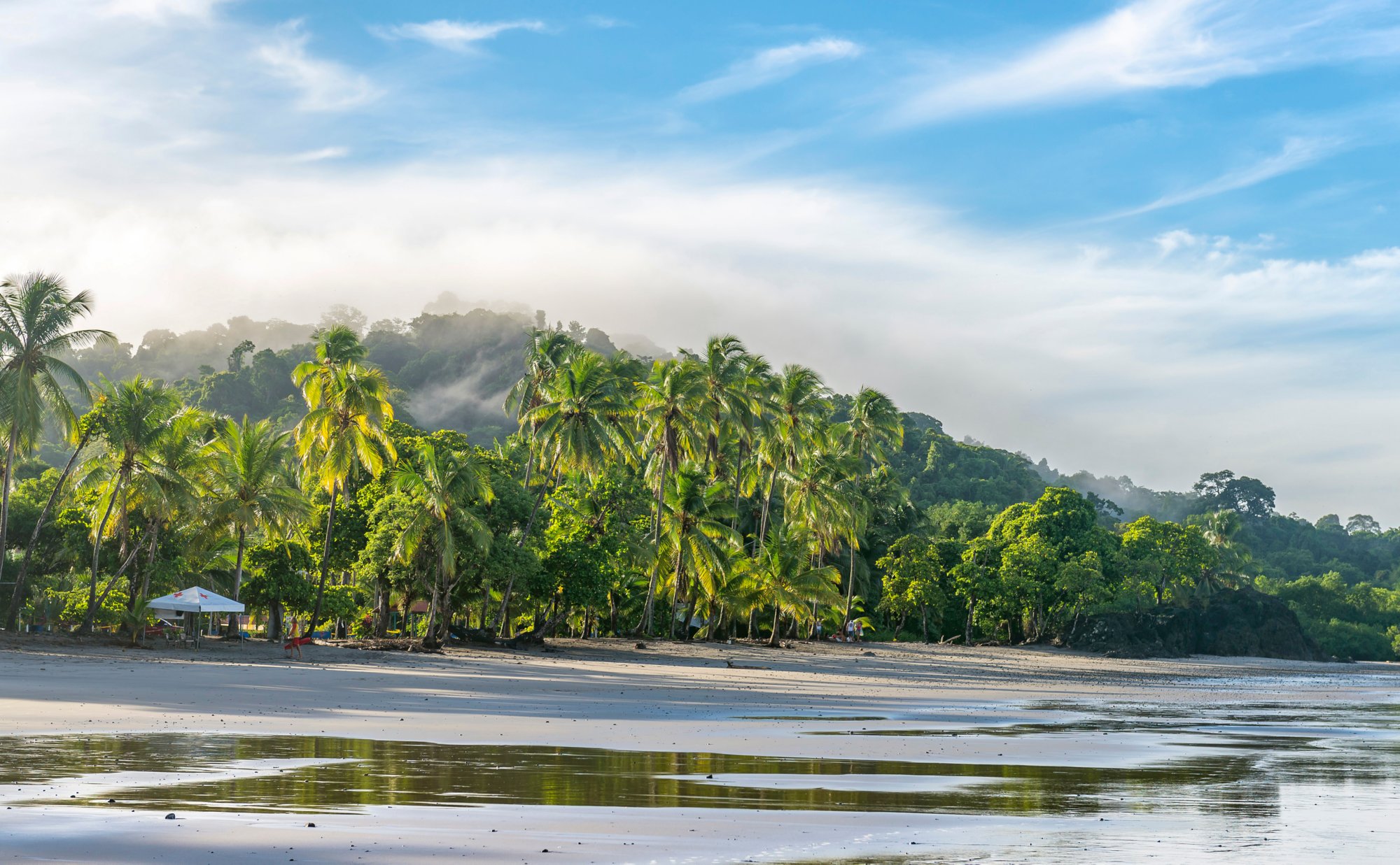 Manuel Antonio beautiful tropical beach with white sand, green palms and blue ocean. Paradise. National Park in Costa Rica, Central America.