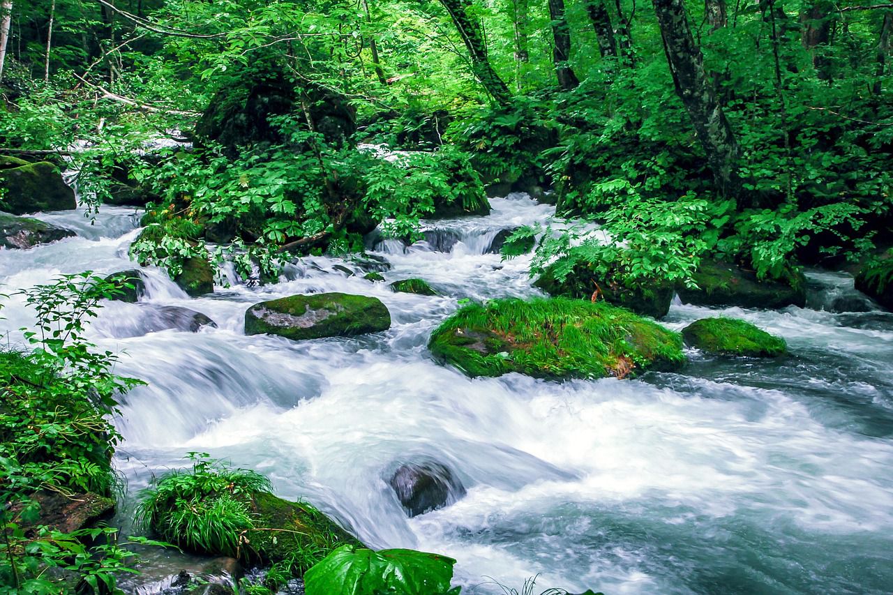 Aomori – Japans Norden voller Magie und Kultur!