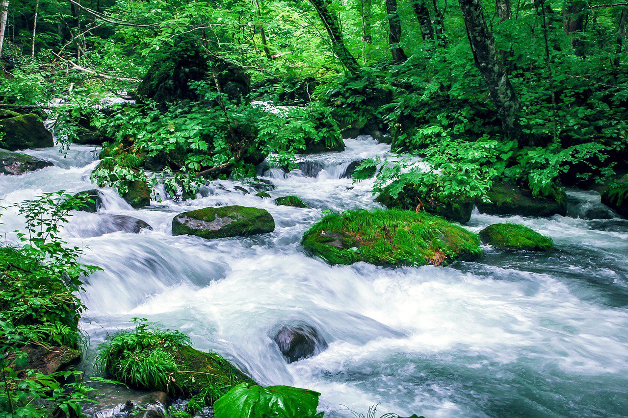 Aomori – Japans Norden voller Magie und Kultur!