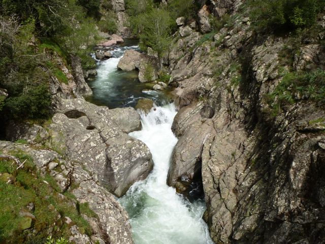 AJA03_P1060408_004.JPG