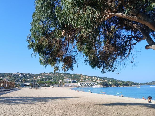 Ein halber Tag am Strand