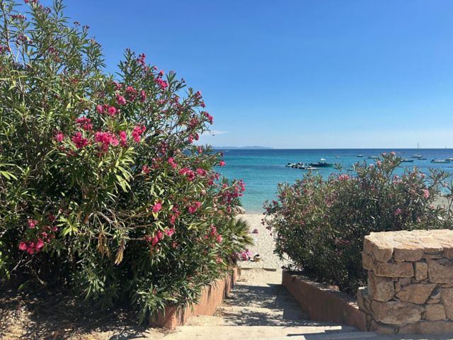 Transfer zum Strand "Santa Lina Beach"