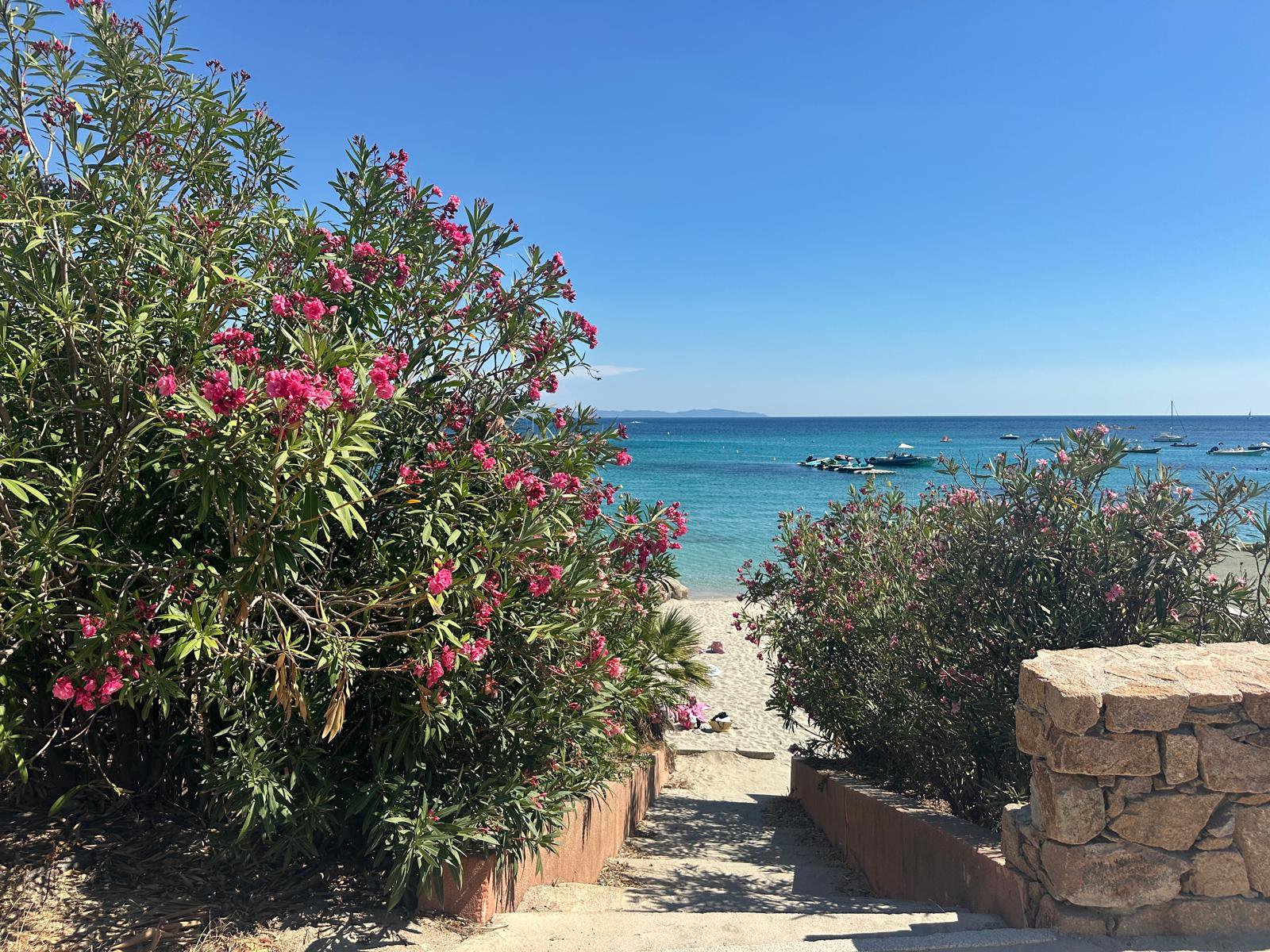 Transfer zum Strand "Santa Lina Beach"