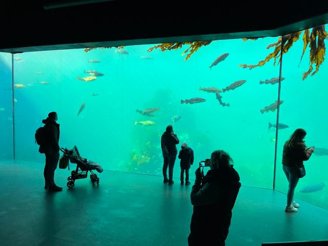 ALEX01_ALE03_ALE11_ALED01_Aquarium3_MA_2023_quer_002.jpg
